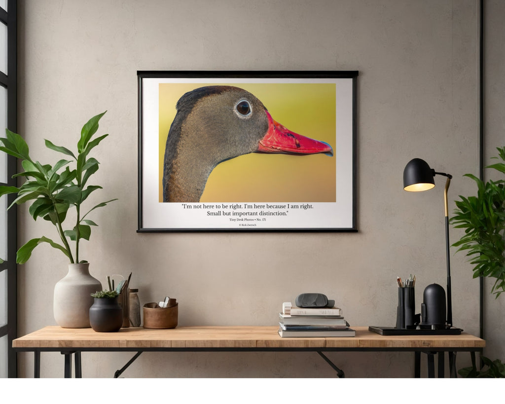 Black-bellied Whistling Duck Wildlife Photography Print | Tiny Desk Photos No. 171