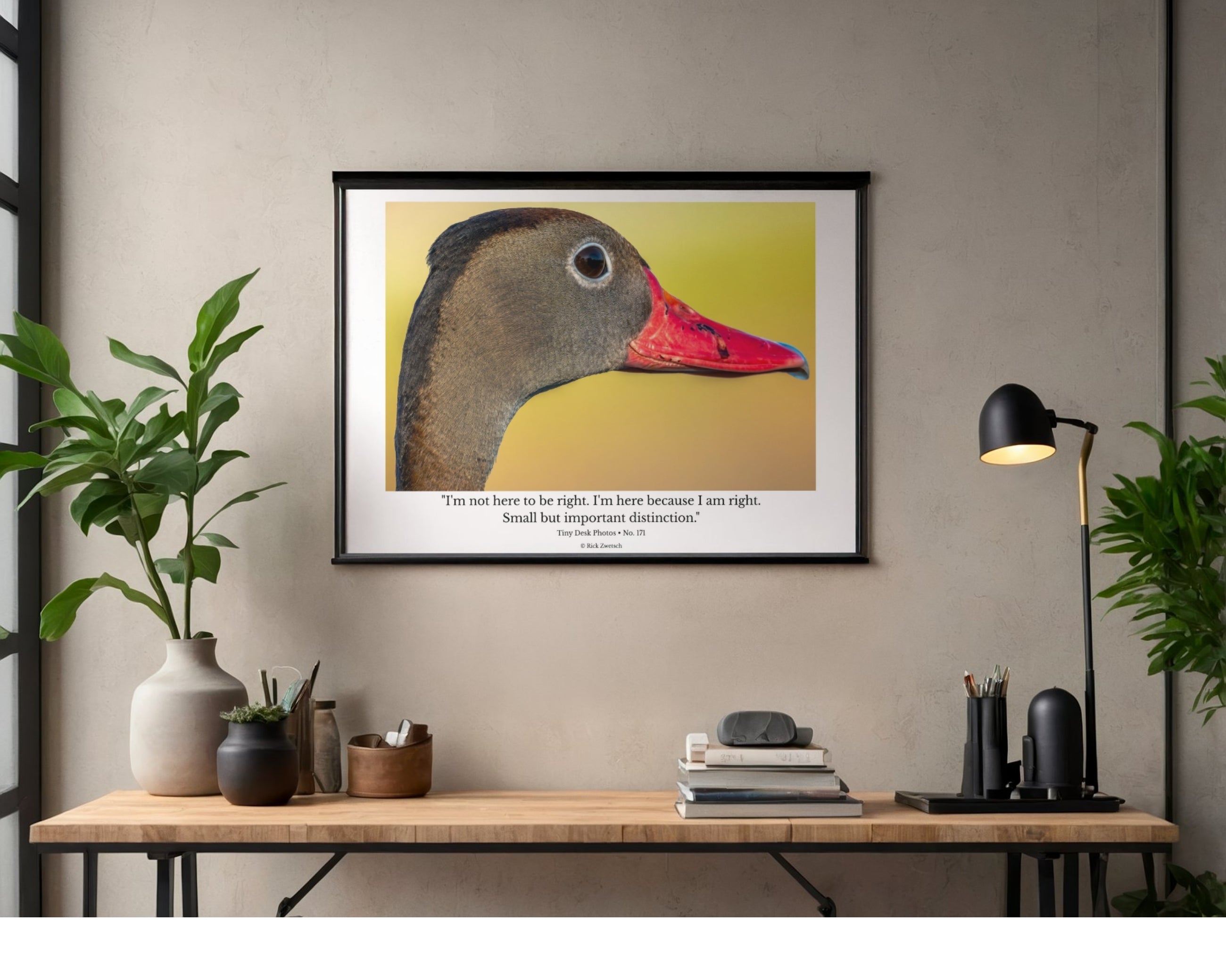 Black-bellied Whistling Duck Wildlife Photography Print | Tiny Desk Photos No. 171