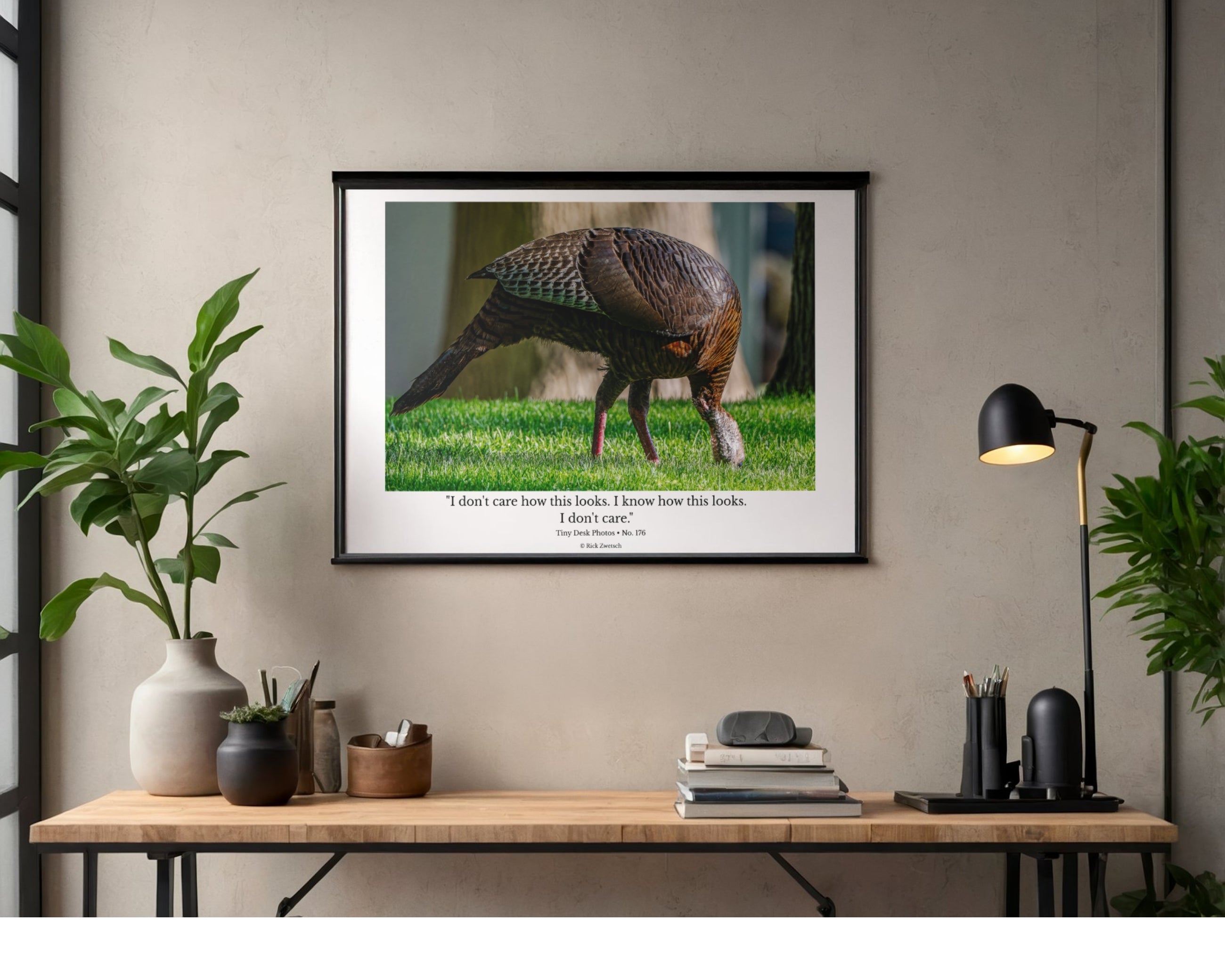 Wild Turkey Wildlife Photography Print | Tiny Desk Photos No. 176