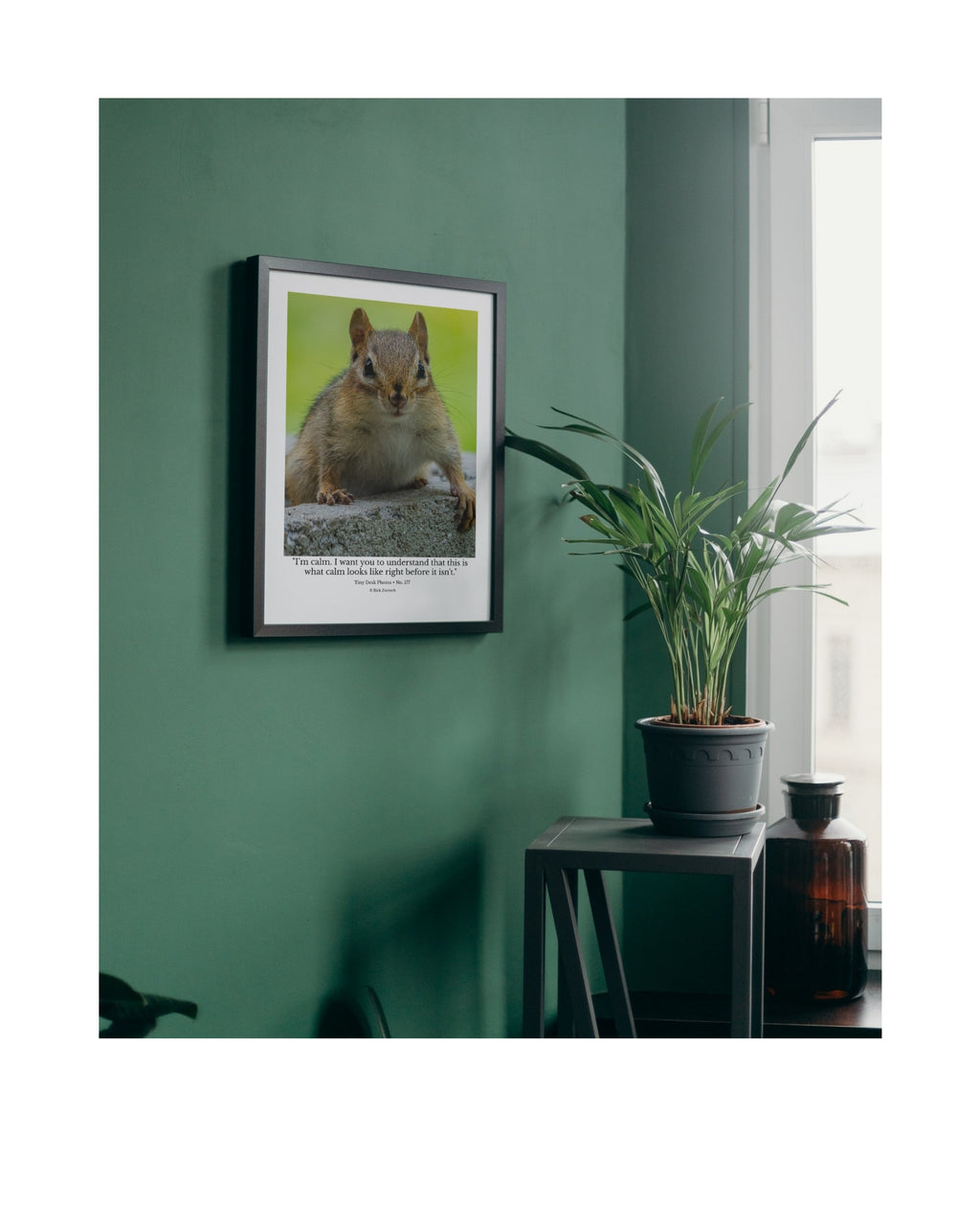 Chipmunk Wildlife Photography Print | Tiny Desk Photos No. 177