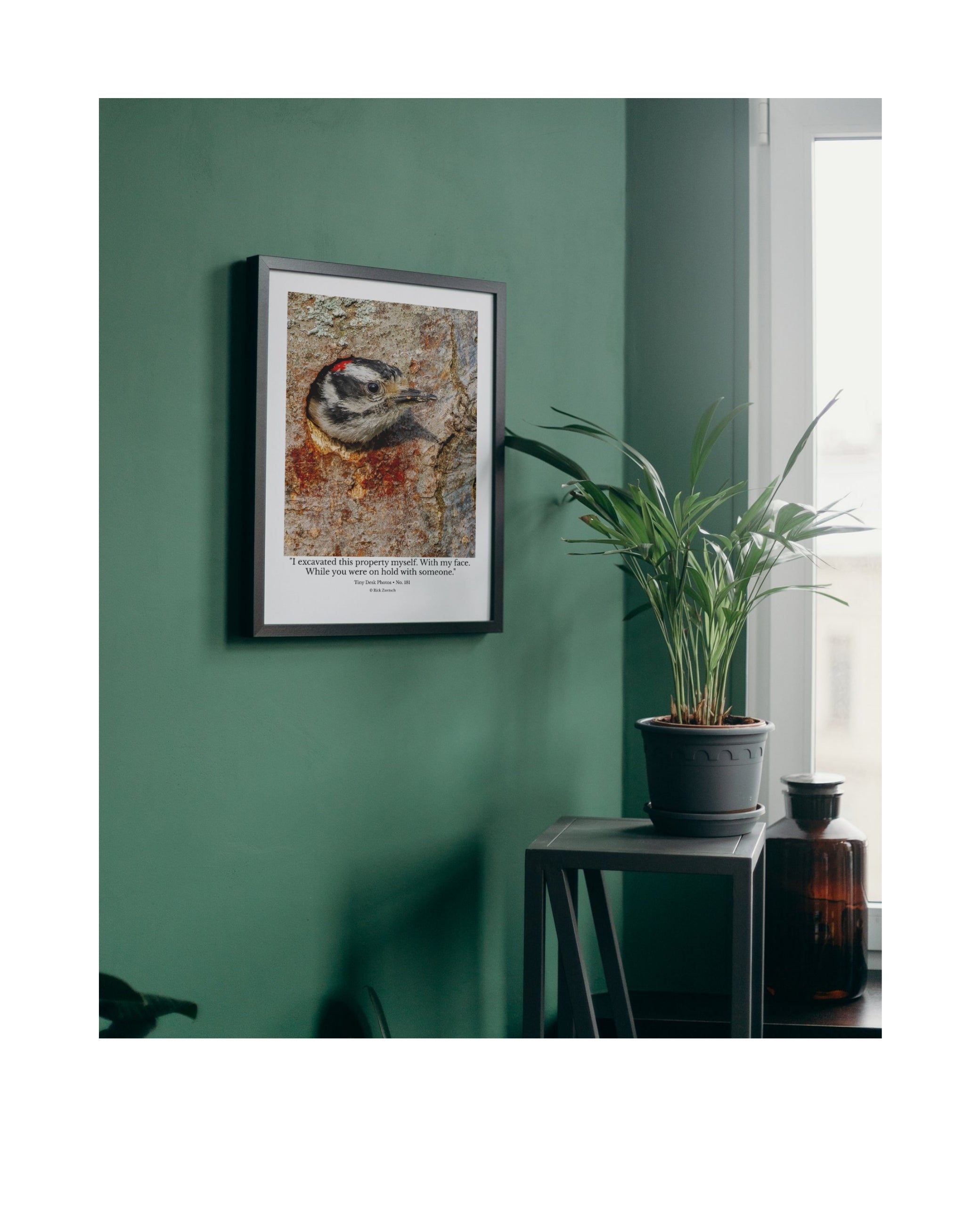 Downy Woodpecker Wildlife Photography Print | Tiny Desk Photos No. 181