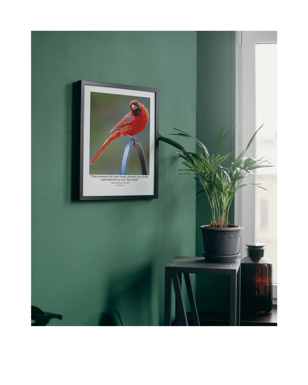 Northern Cardinal Wildlife Photography Print | Tiny Desk Photos No. 182