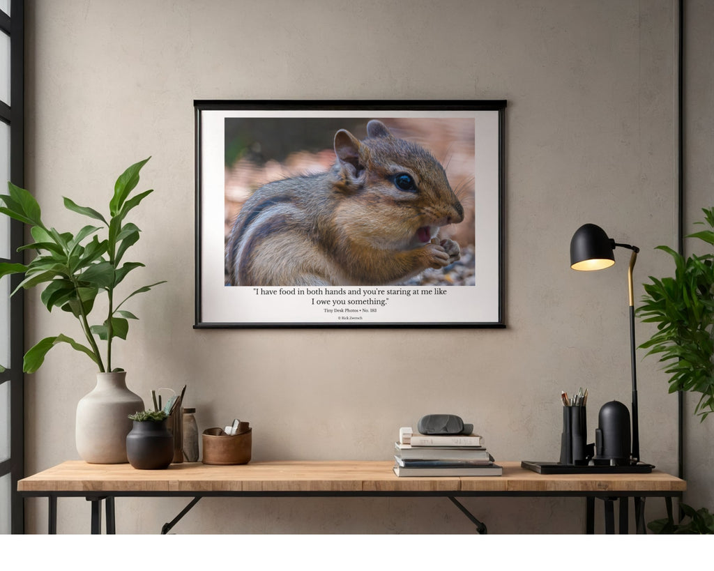 Eastern Chipmunk Wildlife Photography Print | Tiny Desk Photos No. 183