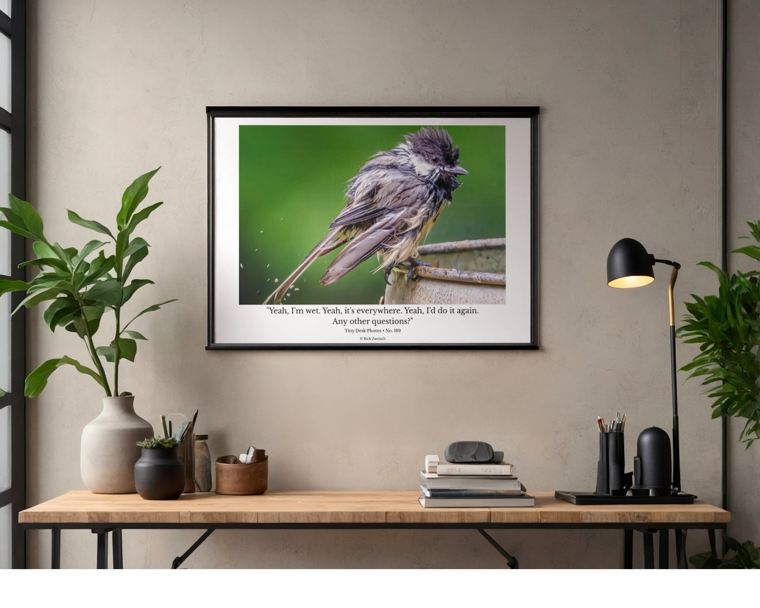 Black-capped Chickadee Wildlife Photography Print | Tiny Desk Photos No. 189