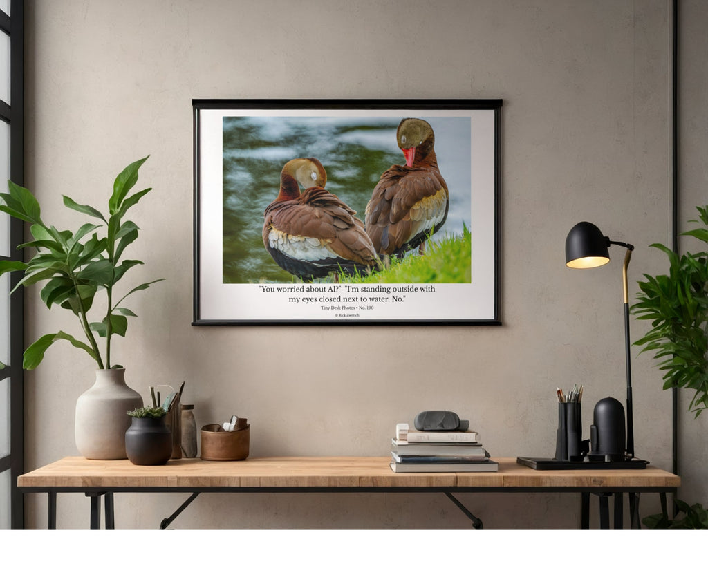 Black-bellied Whistling Duck Wildlife Photography Print | Tiny Desk Photos No. 190