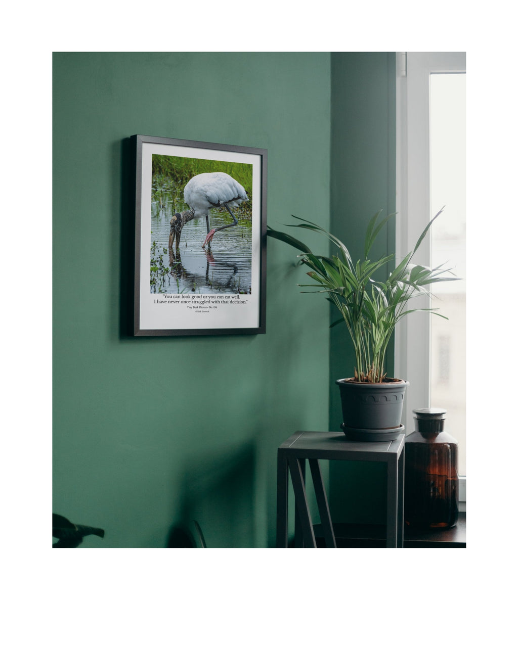Wood Stork Wildlife Photography Print | Tiny Desk Photos No. 194