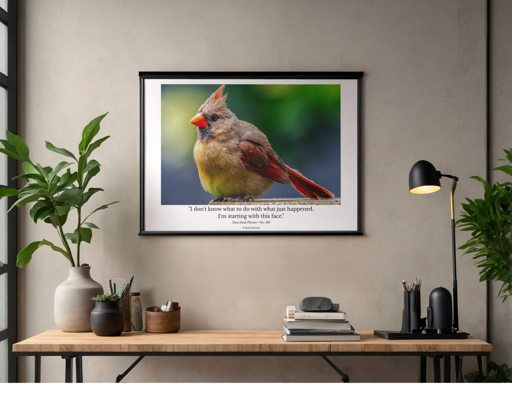 Female Northern Cardinal Wildlife Photography Print | Tiny Desk Photos No. 198
