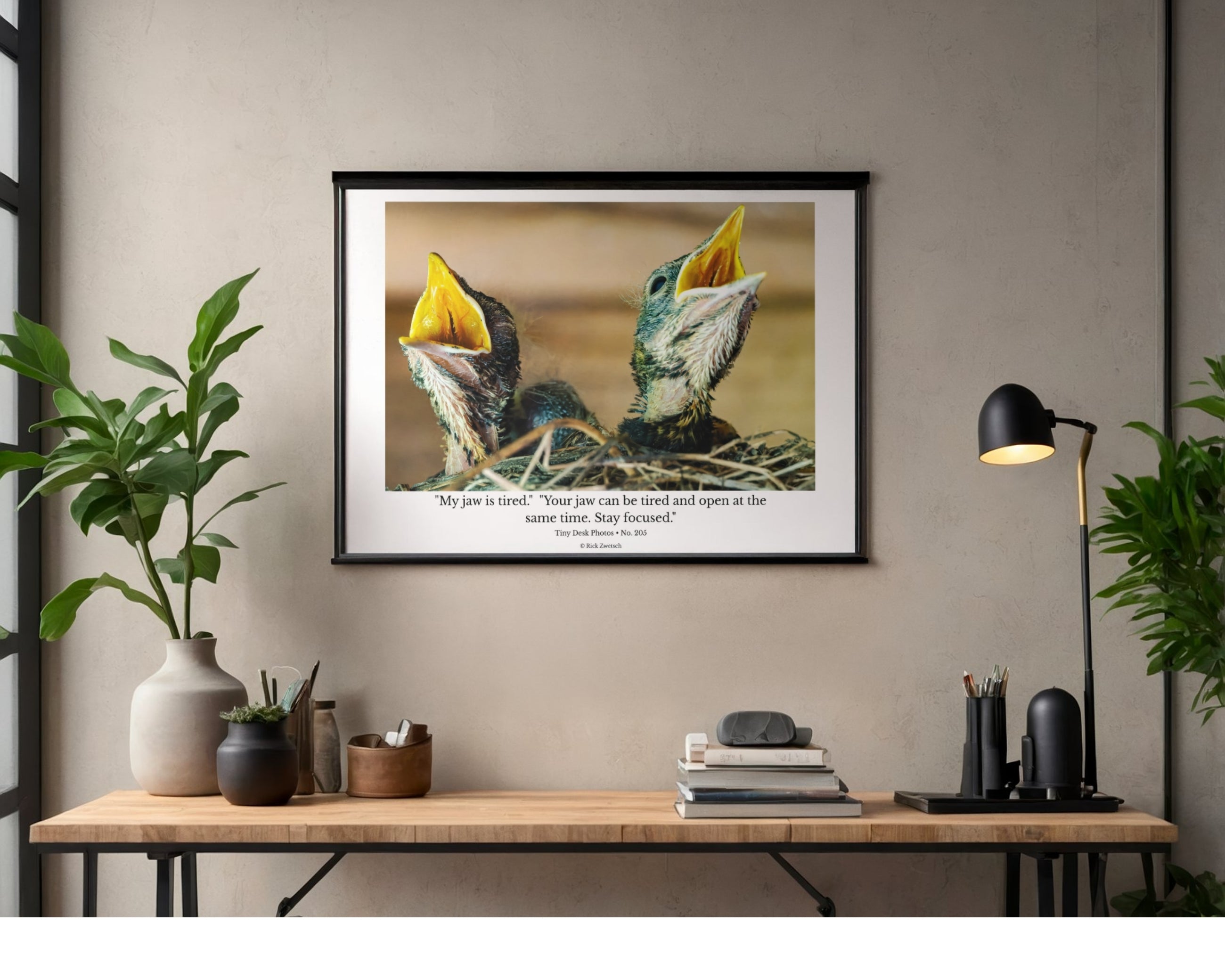 American Robin Nestlings Wildlife Photography Print | Tiny Desk Photos No. 205