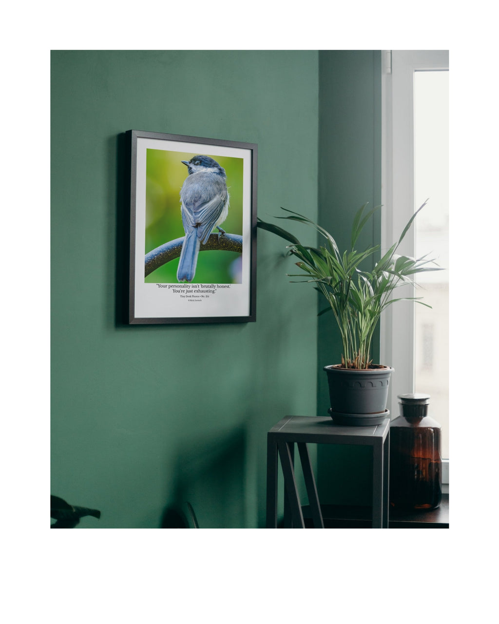 Black-capped Chickadee Wildlife Photography Print | Tiny Desk Photos No. 214