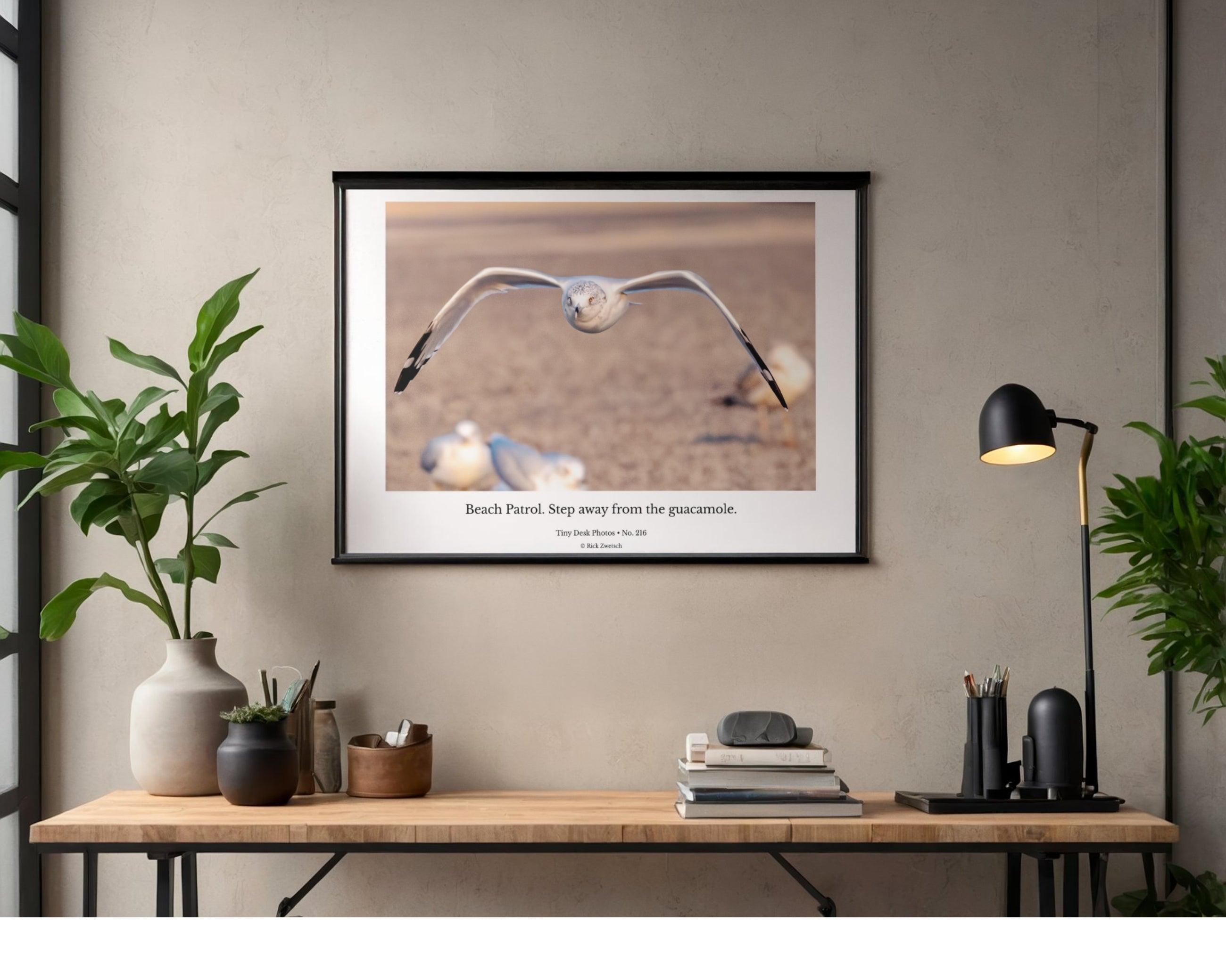 Ring-billed Gull Wildlife Photography Print | Tiny Desk Photos No. 216