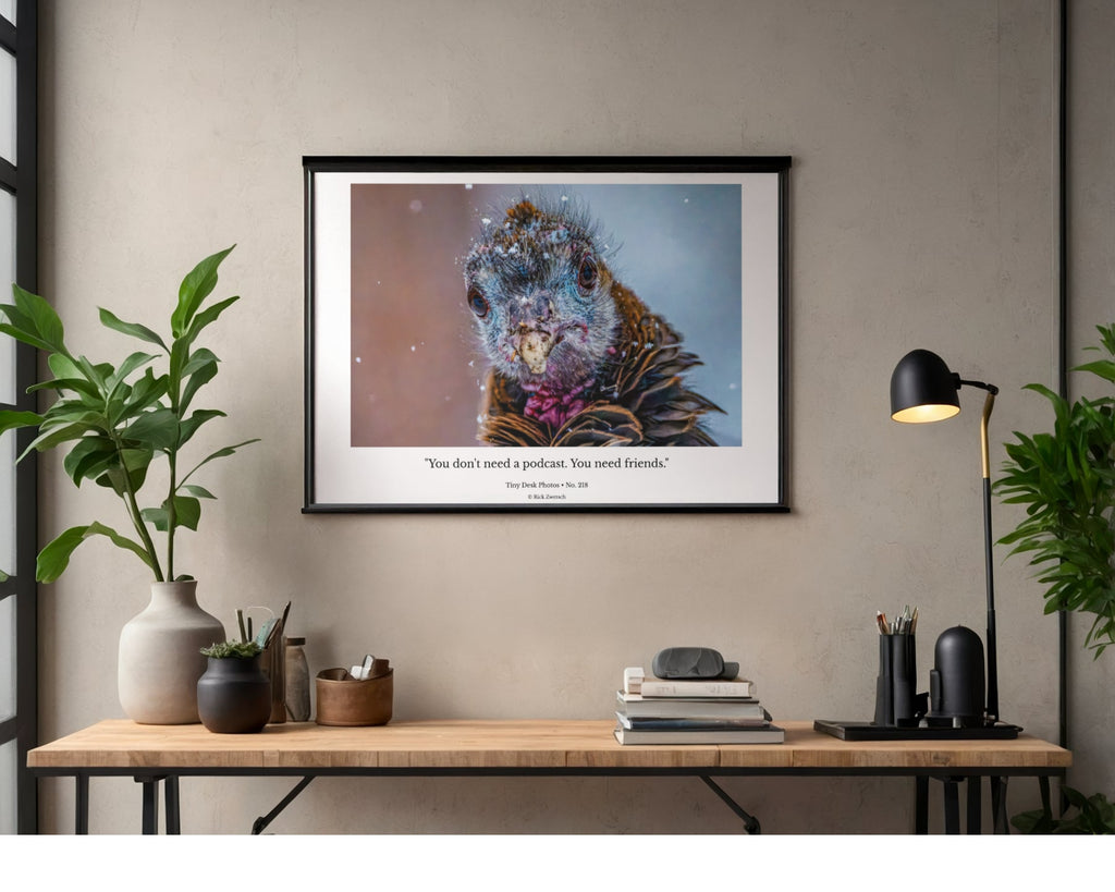 Wild Turkey Chick Wildlife Photography Print | Tiny Desk Photos No. 218