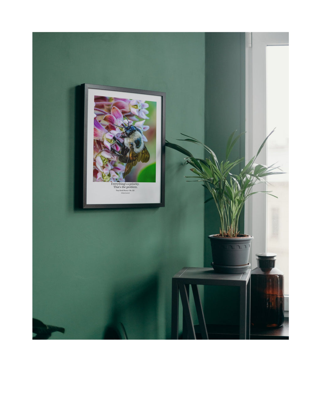 Common Eastern Bumble Bee Wildlife Photography Print | Tiny Desk Photos No. 221