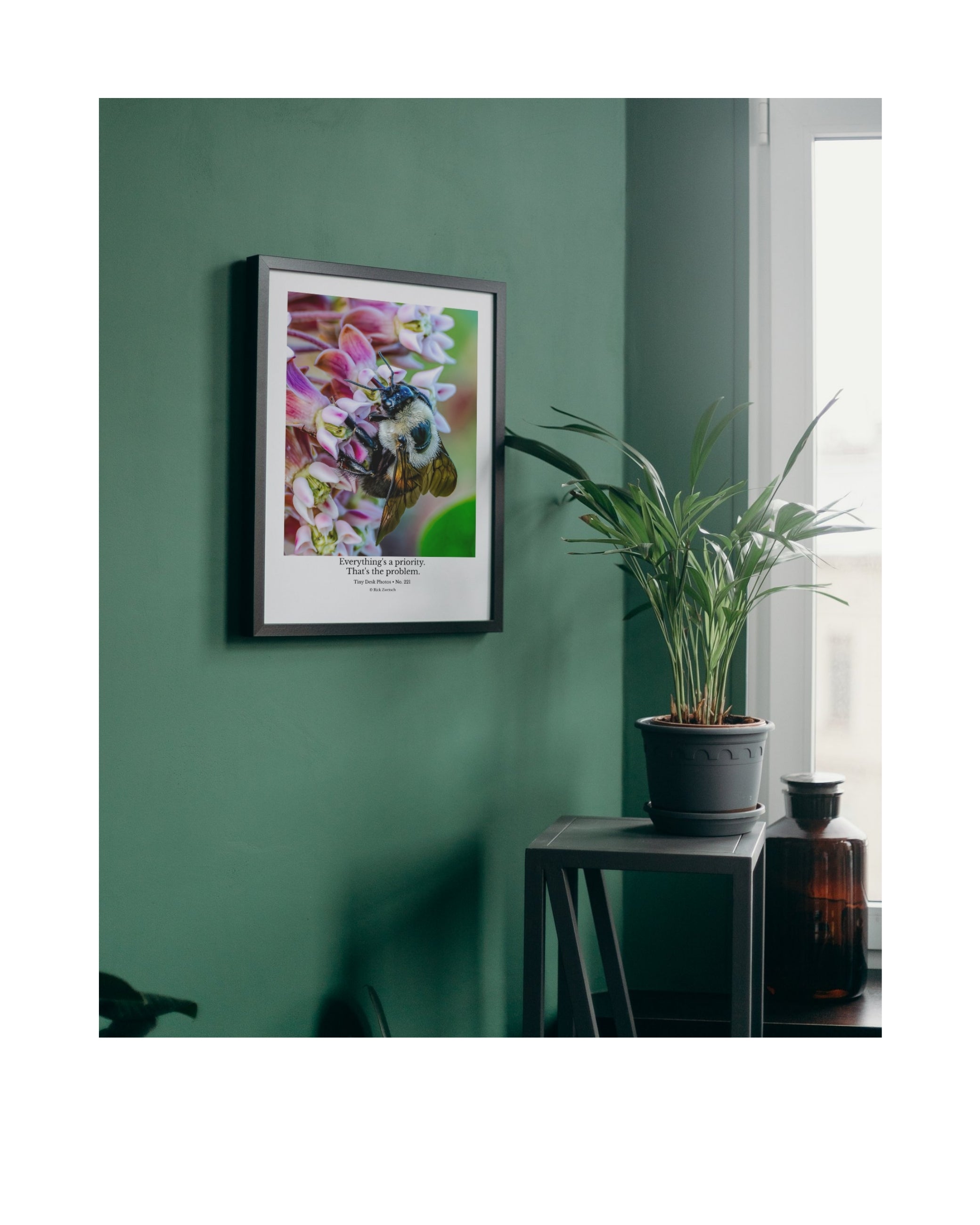 Common Eastern Bumble Bee Wildlife Photography Print | Tiny Desk Photos No. 221