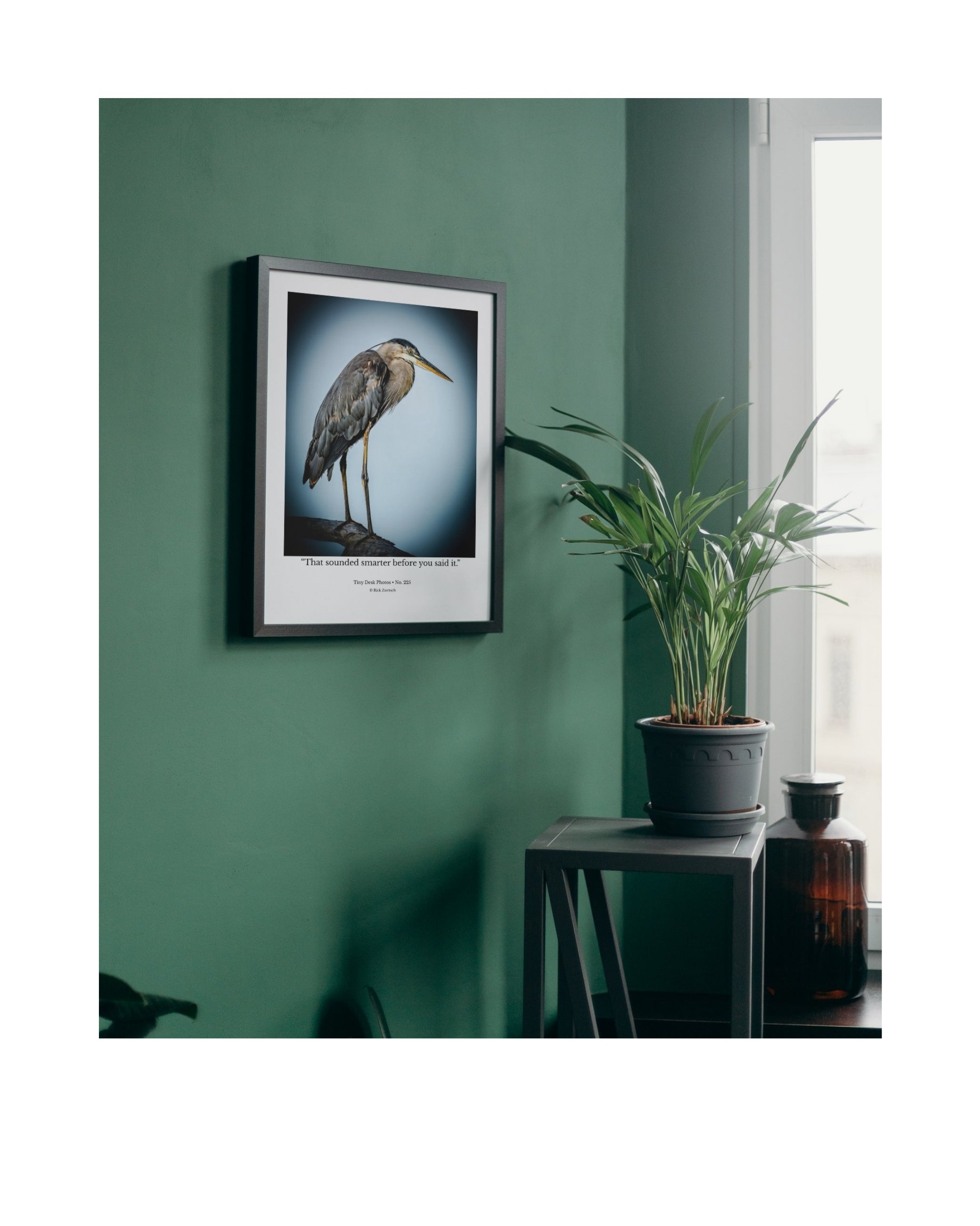 Great Blue Heron Wildlife Photography Print | Tiny Desk Photos No. 225