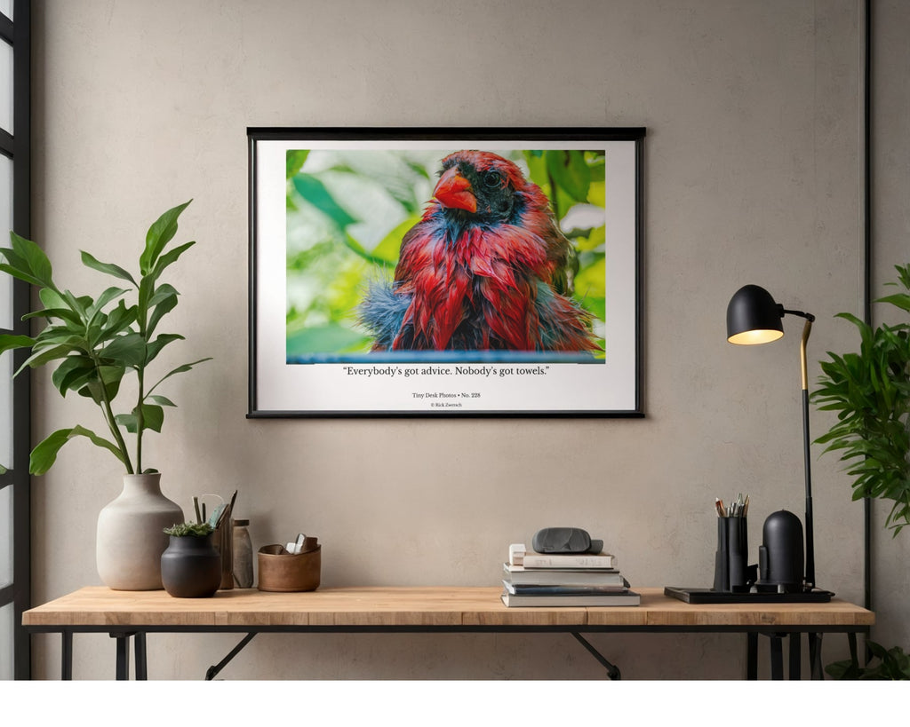Northern Cardinal Wildlife Photography Print | Tiny Desk Photos No. 228