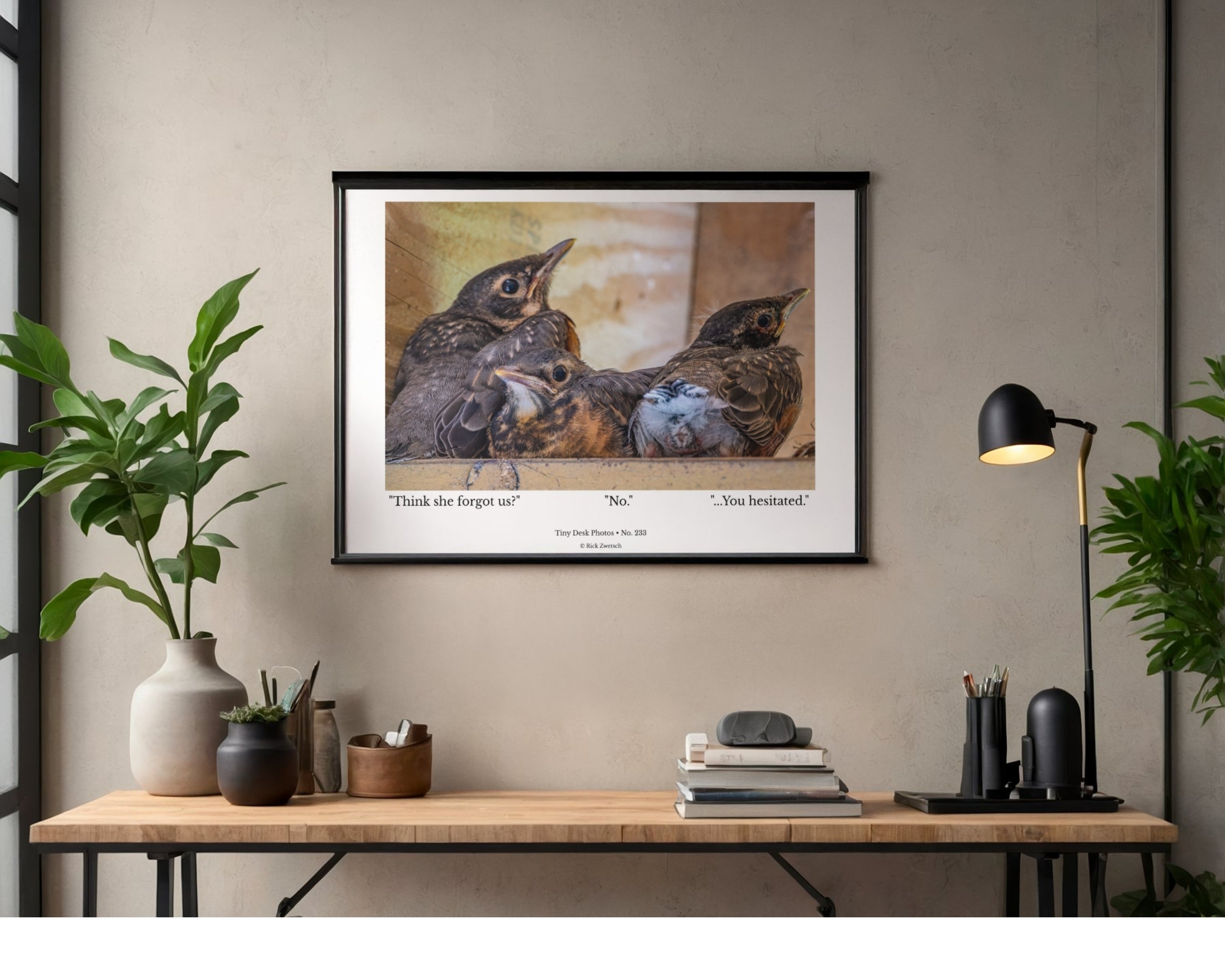 American Robin Fledglings Wildlife Photography Print | Tiny Desk Photos No. 233