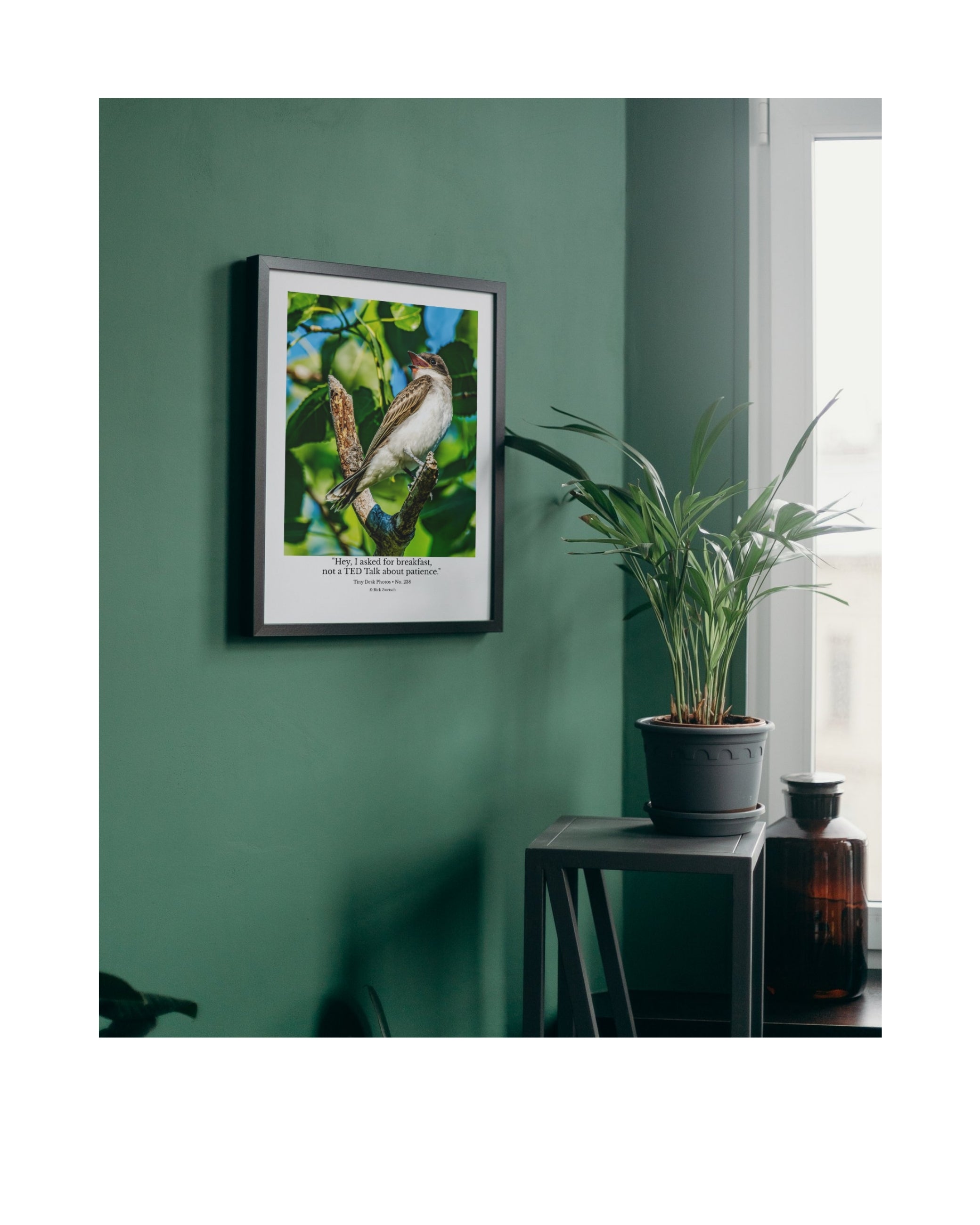 Eastern Kingbird Wildlife Photography Print | Tiny Desk Photos No. 238