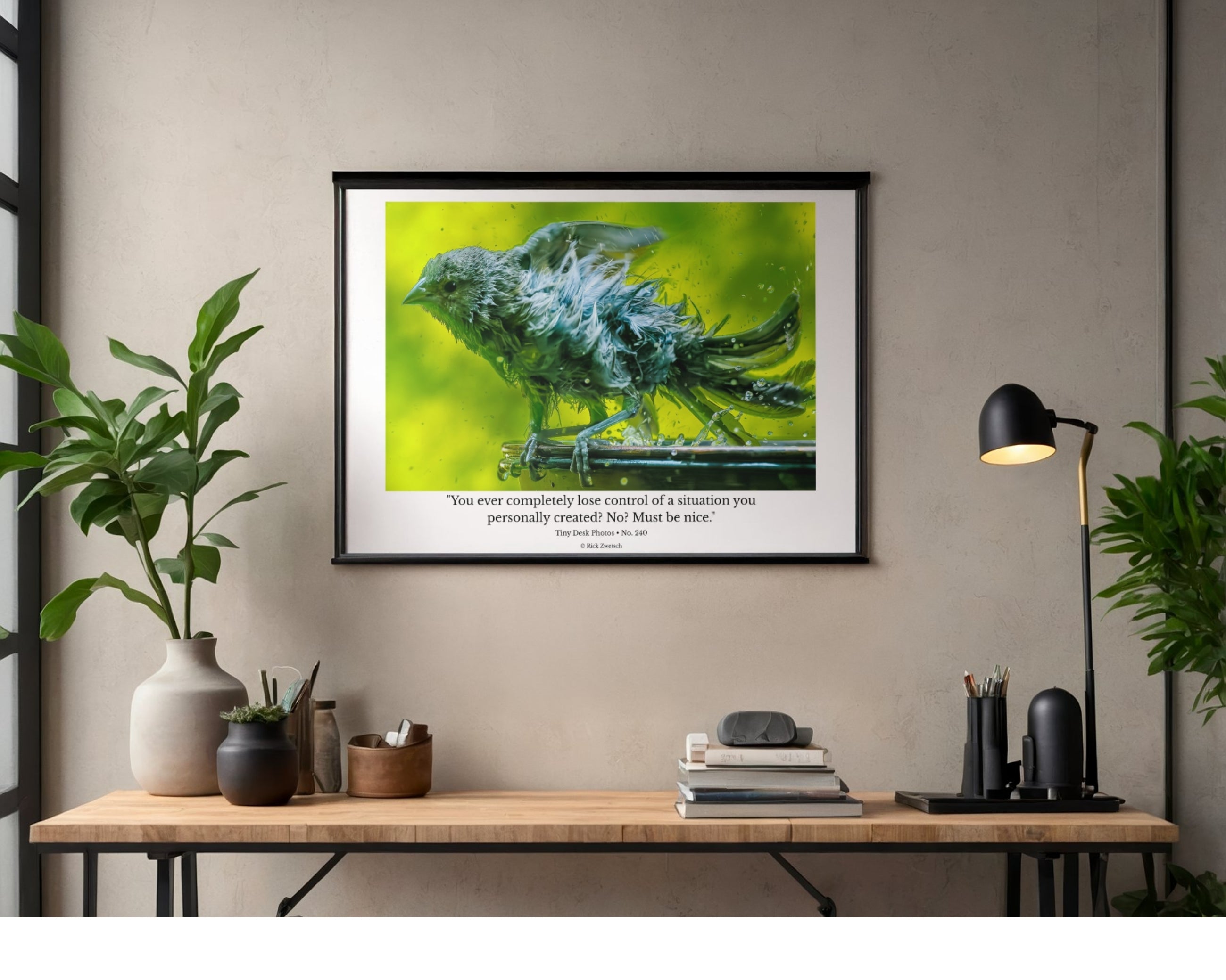 House Finch Wildlife Photography Print | Tiny Desk Photos No. 240