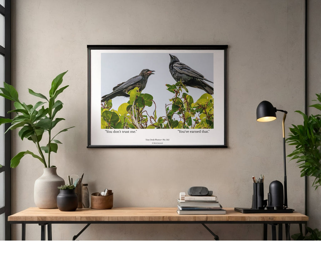 Crow Wildlife Photography Print | Tiny Desk Photos No. 245