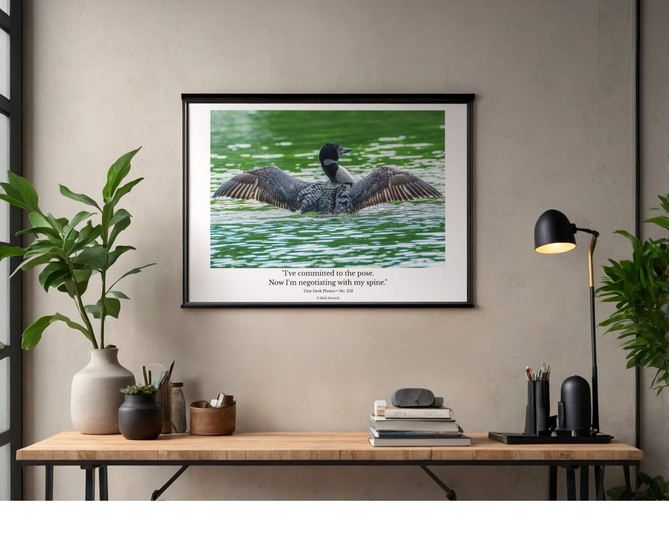 Common Loon Wildlife Photography Print | Tiny Desk Photos No. 253
