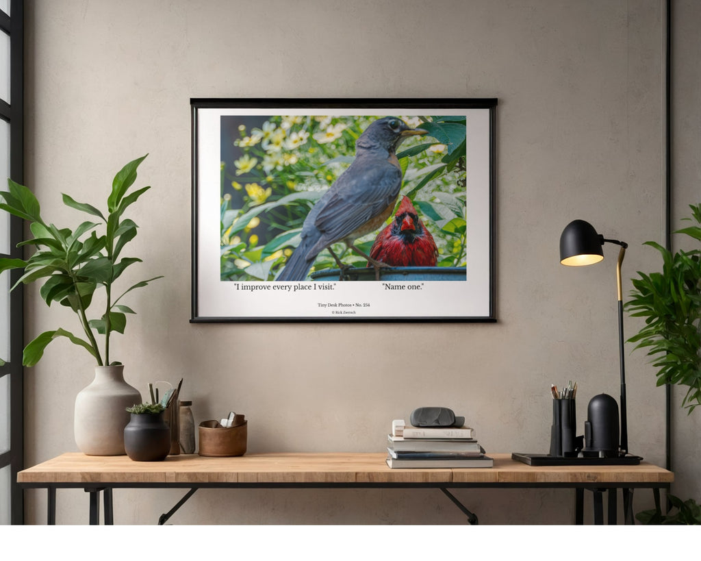 American Robin & Northern Cardinal Wildlife Photography Print | Tiny Desk Photos No. 254