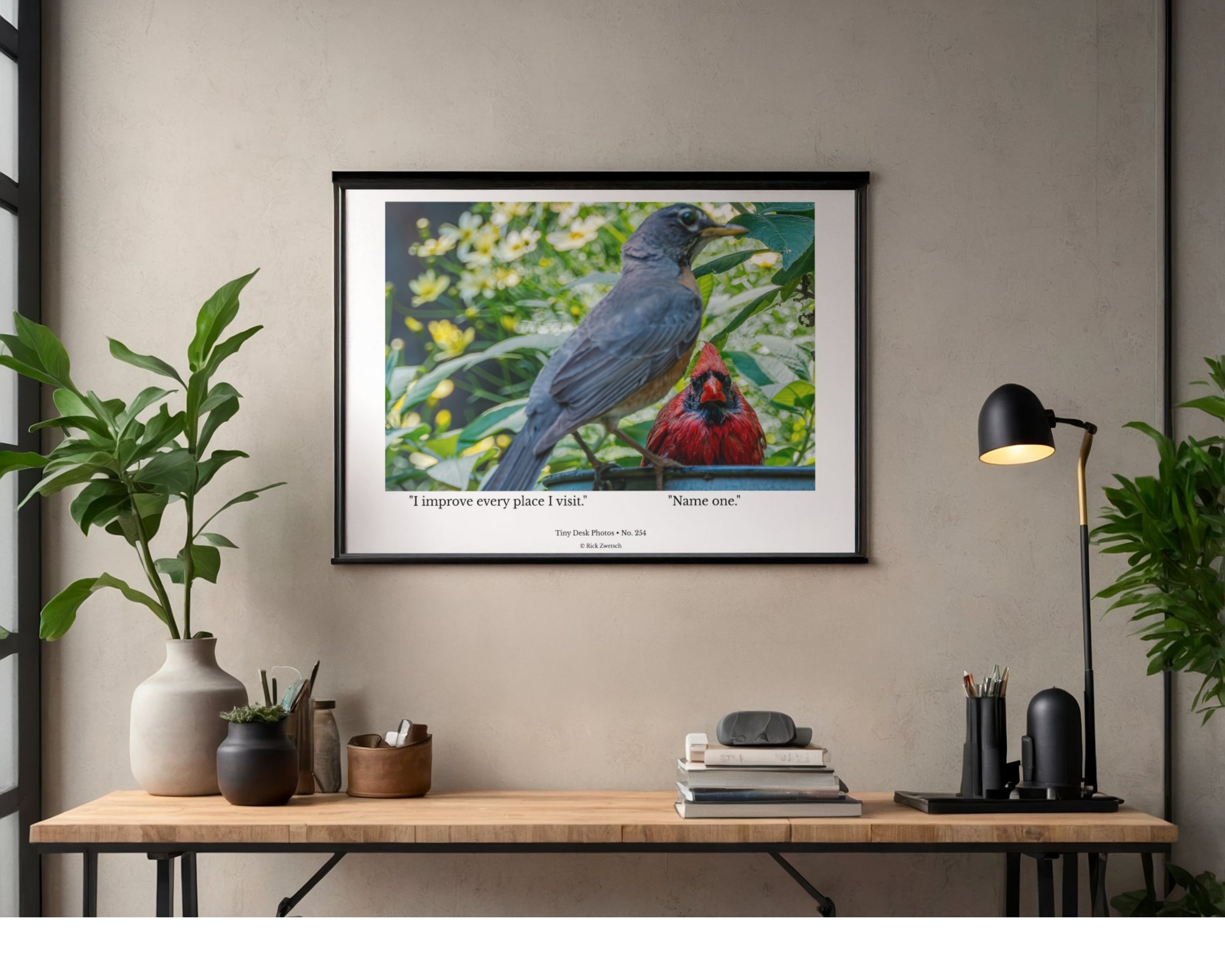 American Robin & Northern Cardinal Wildlife Photography Print | Tiny Desk Photos No. 254