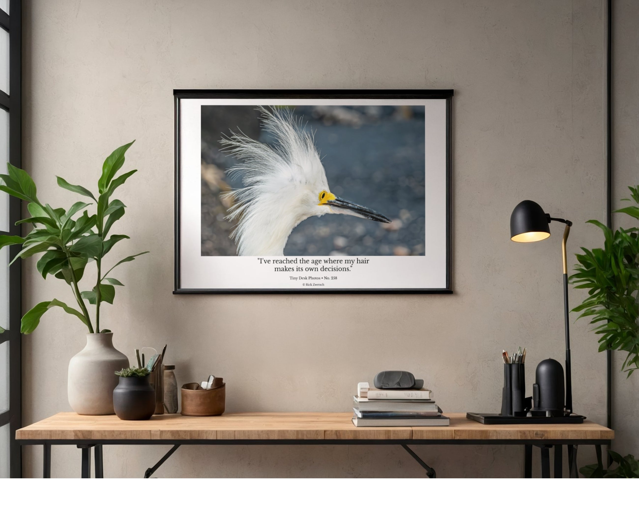 Snowy Egret Wildlife Photography Print | Tiny Desk Photos No. 258