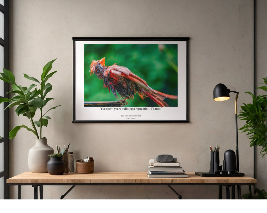 Northern Cardinal Wildlife Photography Print | Tiny Desk Photos No. 259