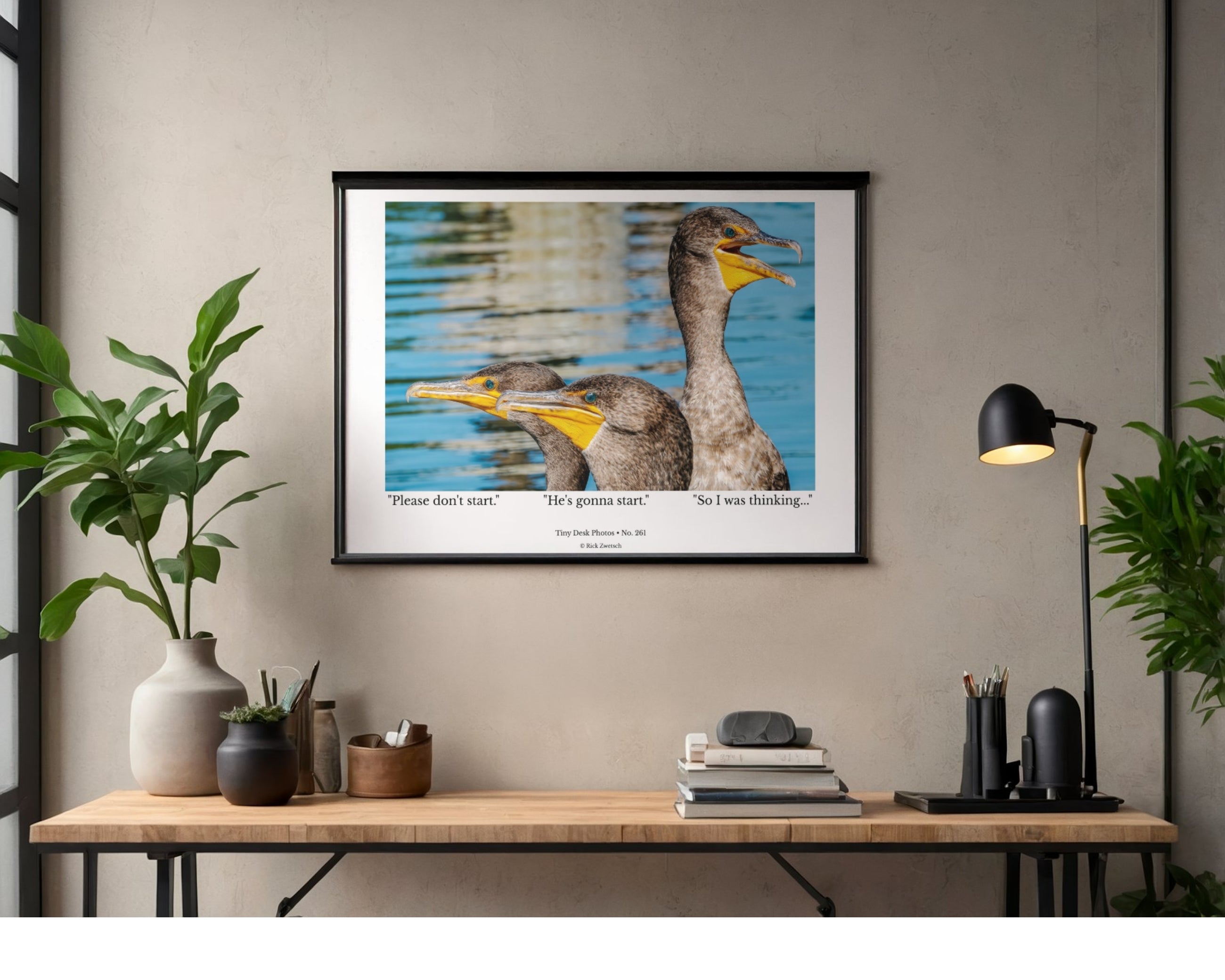 Double-crested Cormorant Wildlife Photography Print | Tiny Desk Photos No. 261