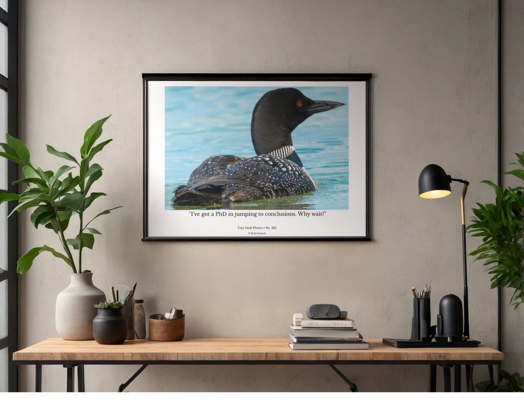 Common Loon Wildlife Photography Print | Tiny Desk Photos No. 265