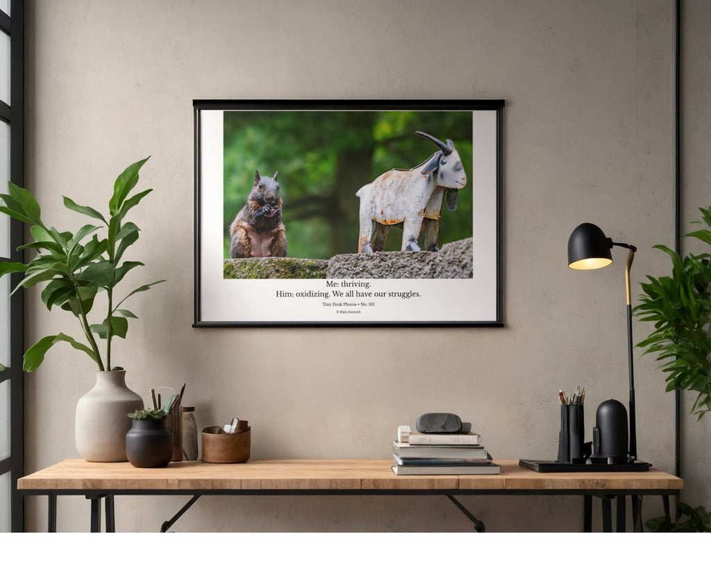 Fox Squirrel and Rusted Metal Goat Wildlife Photography Print | Tiny Desk Photos No. 101