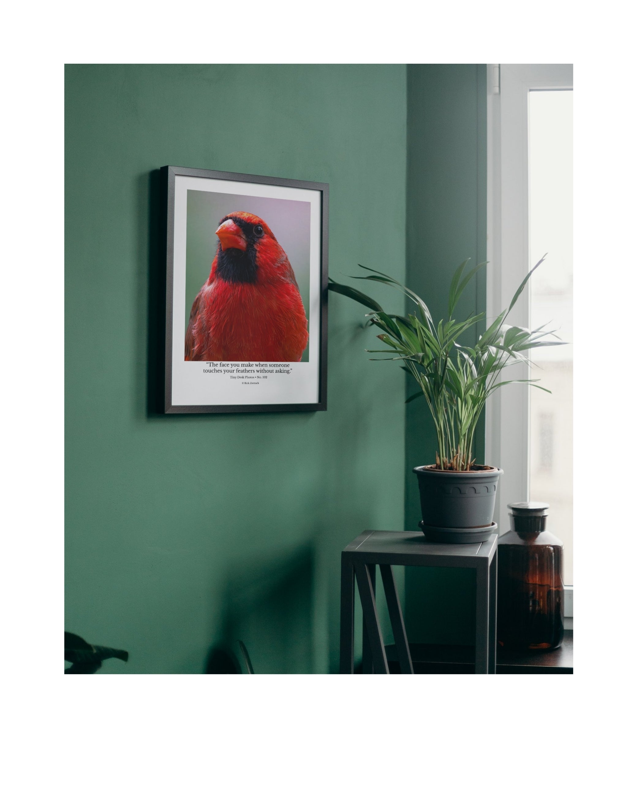 Northern Cardinal Portrait Wildlife Photography Print | Tiny Desk Photos No. 102