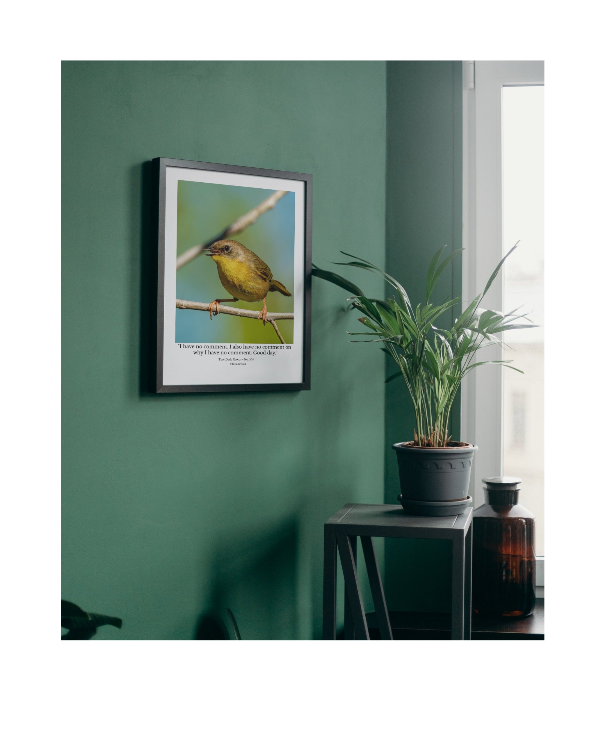 Common Yellowthroat Wildlife Photography Print | Tiny Desk Photos No. 104