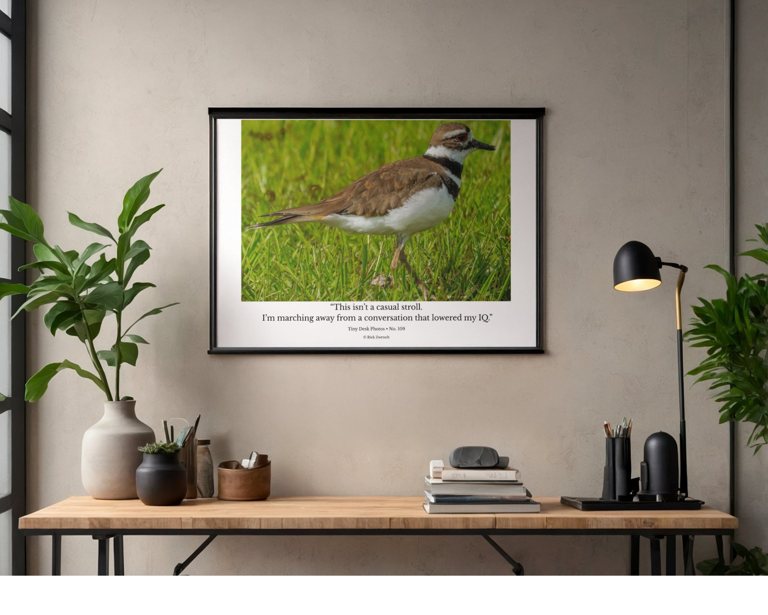 Killdeer Wildlife Photography Print | Tiny Desk Photos No. 109