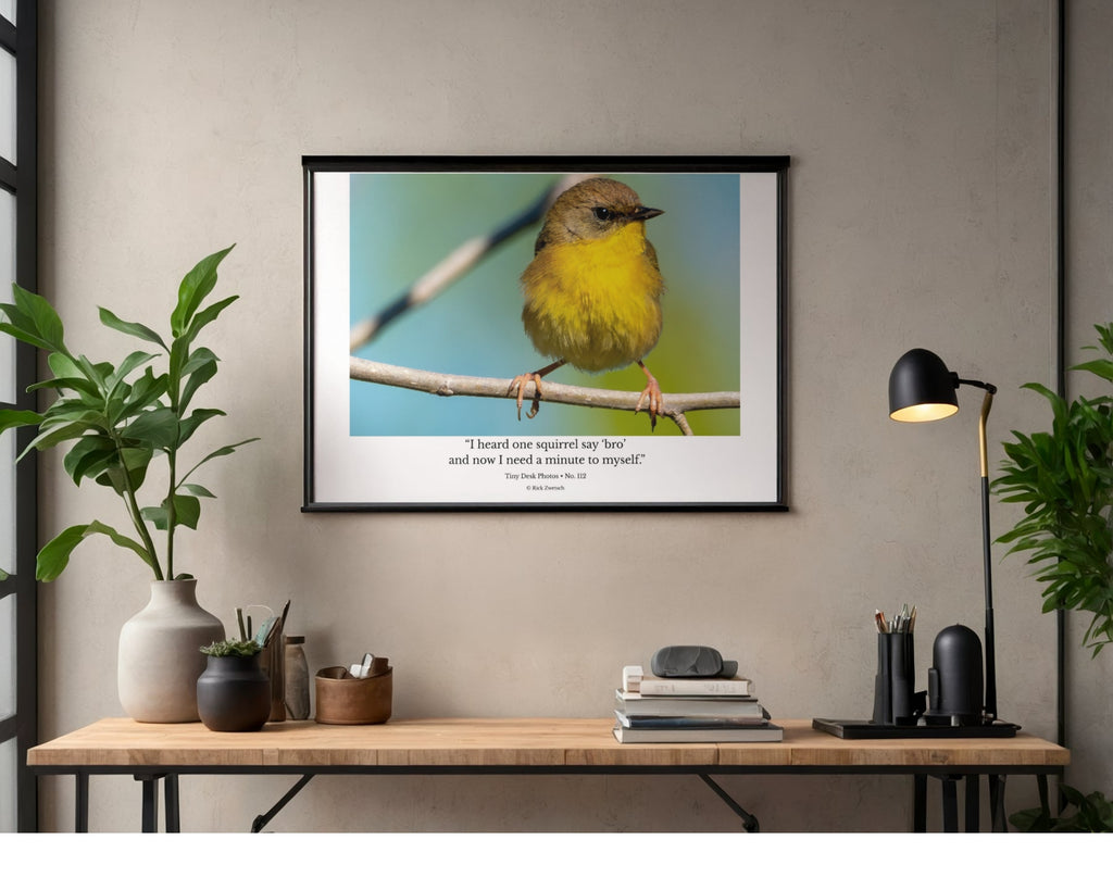 Yellow Warbler Wildlife Photography Print | Tiny Desk Photos No. 112