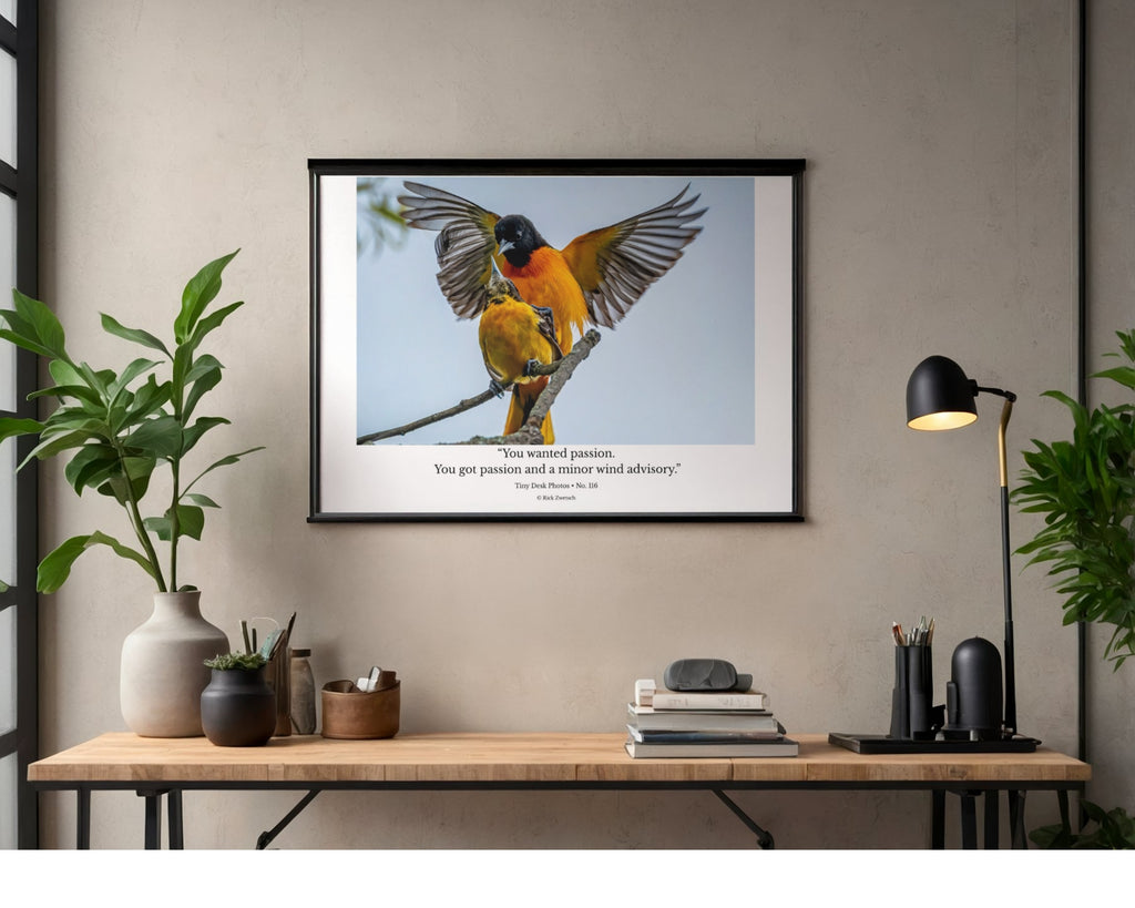 Baltimore Oriole Wildlife Photography Print | Tiny Desk Photos No. 116