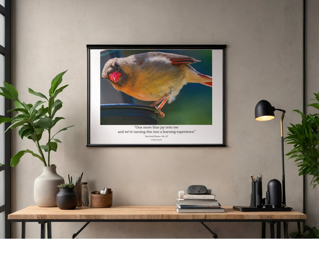 Northern Cardinal Wildlife Photography Print | Tiny Desk Photos No. 117