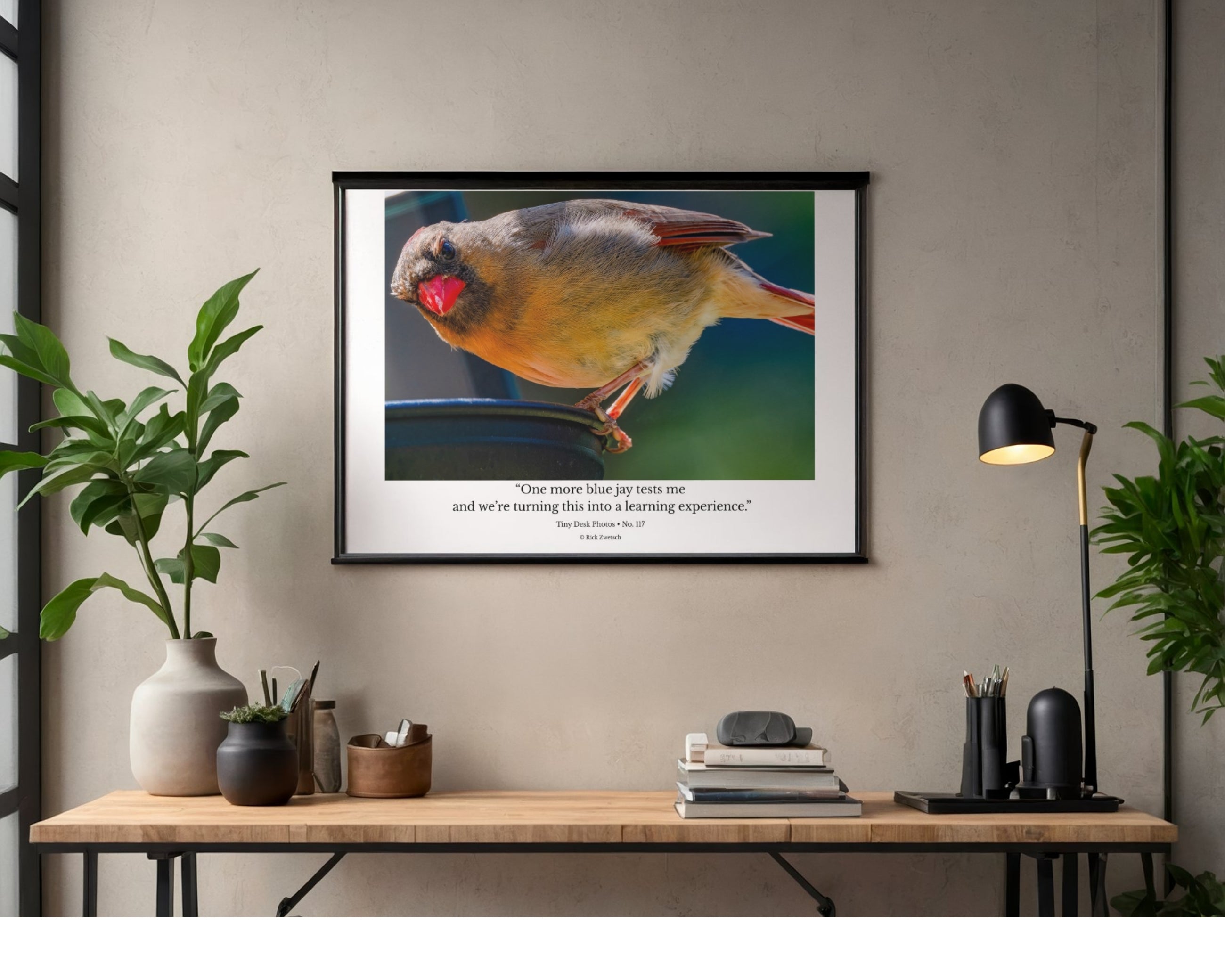 Northern Cardinal Wildlife Photography Print | Tiny Desk Photos No. 117