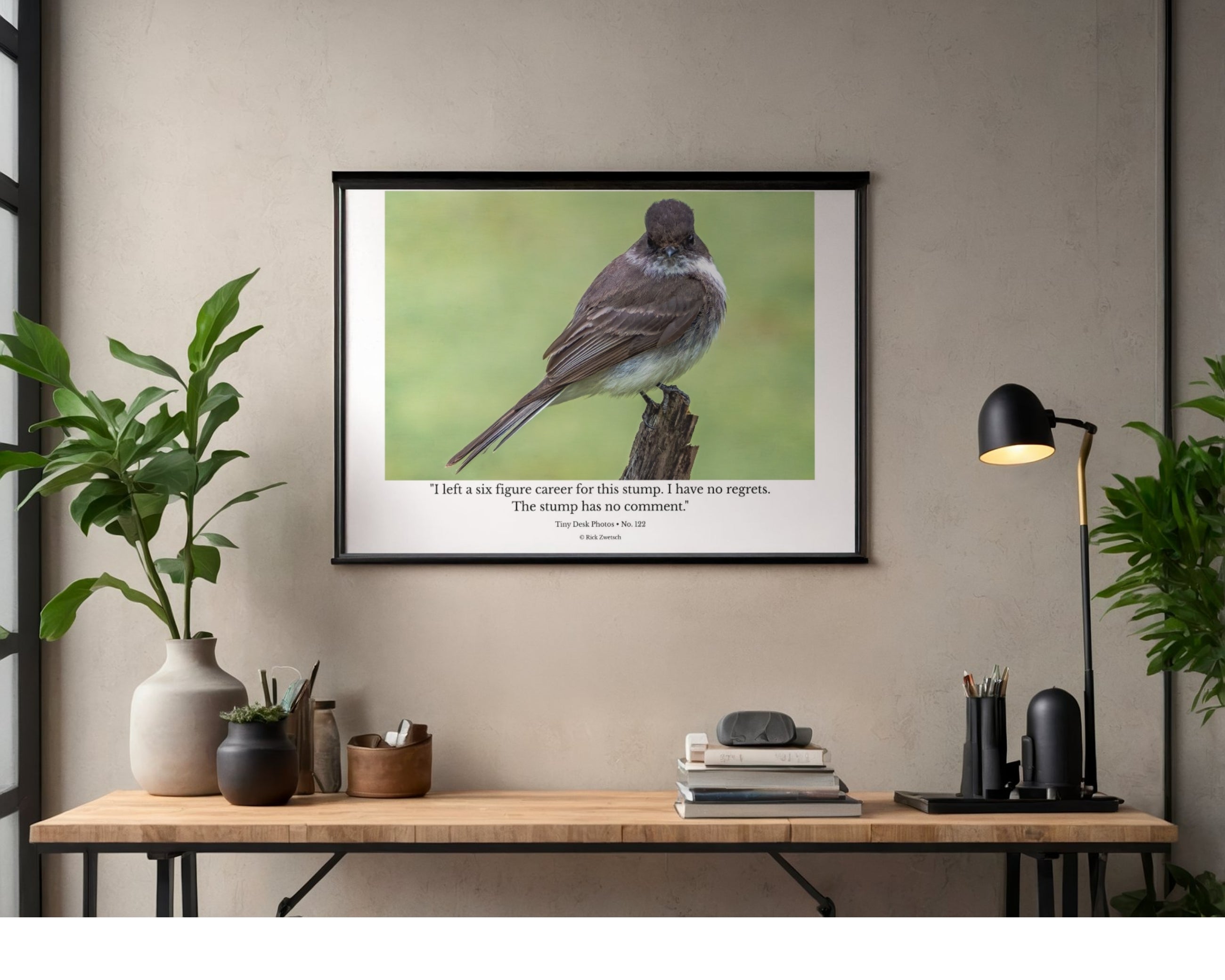 Eastern Phoebe Wildlife Photography Print | Tiny Desk Photos No. 122
