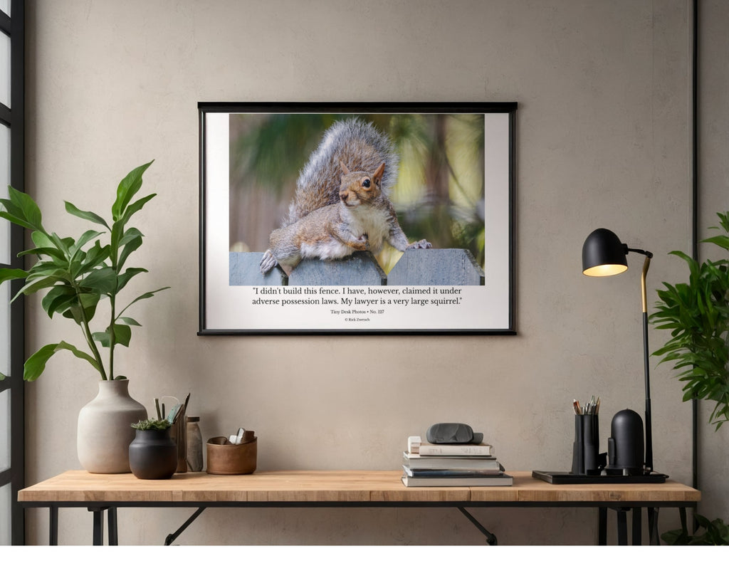 Eastern Gray Squirrel Wildlife Photography Print | Tiny Desk Photos No. 127