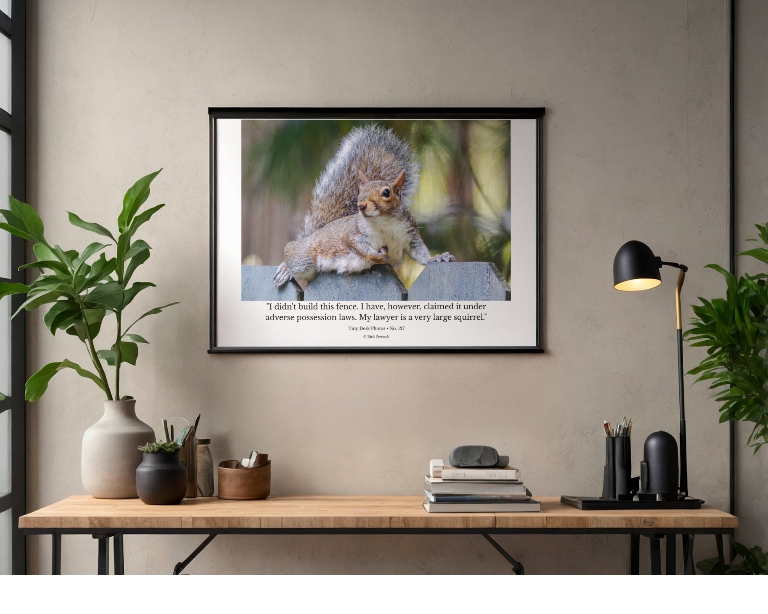 Eastern Gray Squirrel Wildlife Photography Print | Tiny Desk Photos No. 127