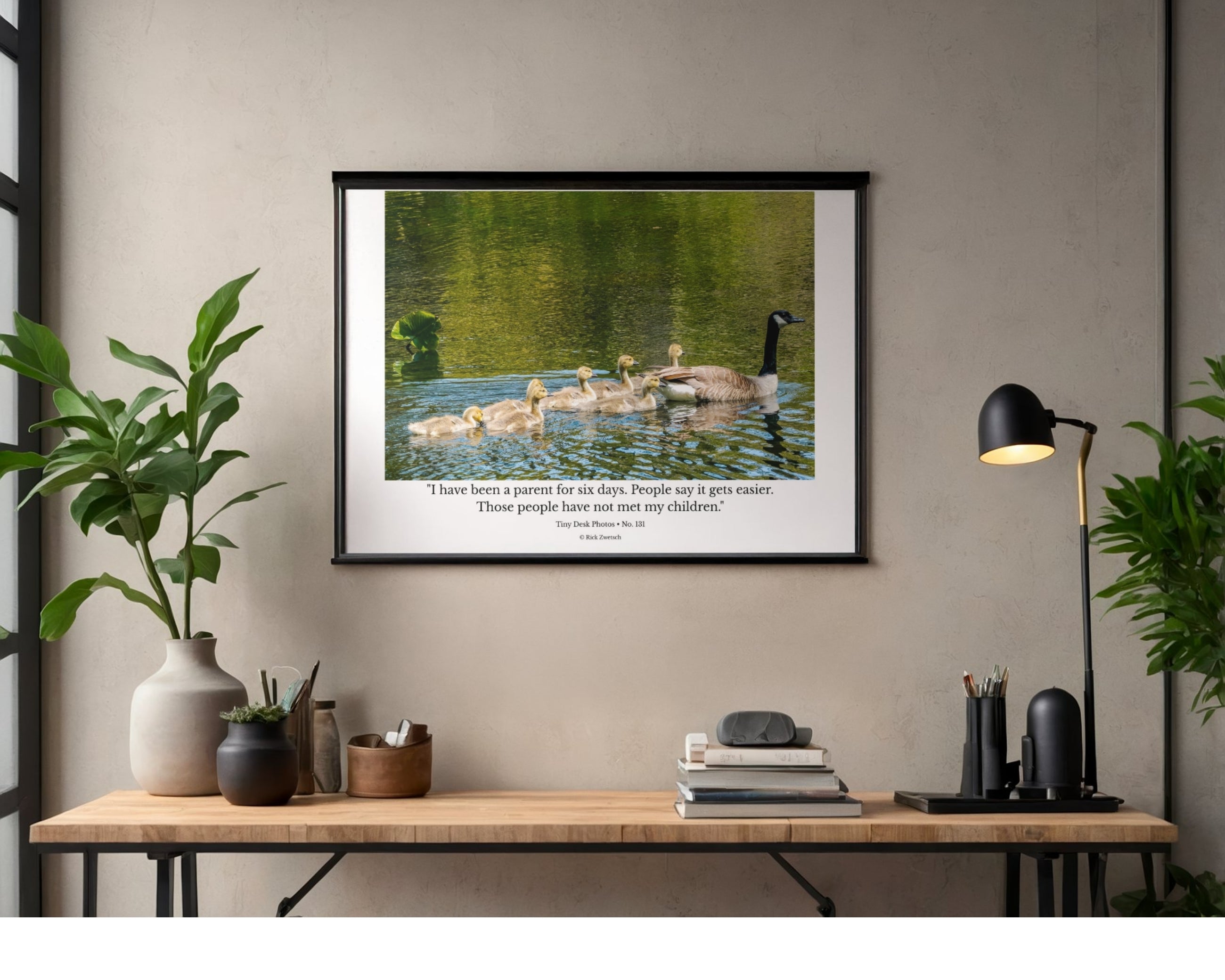 Canada Goose Family Wildlife Photography Print | Tiny Desk Photos No. 131