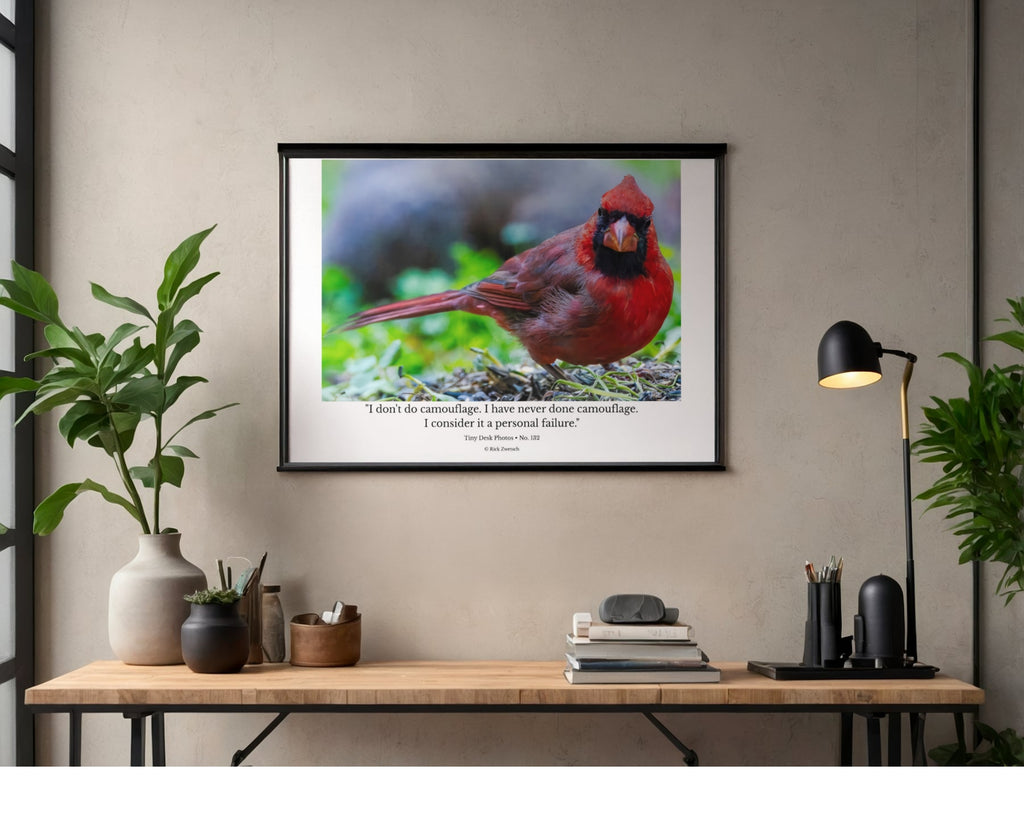 Northern Cardinal Wildlife Photography Print | Tiny Desk Photos No. 132