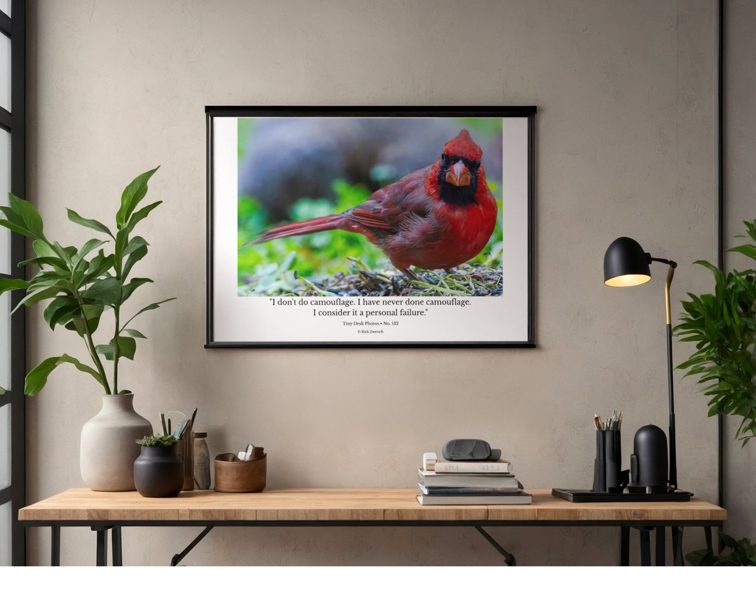 Northern Cardinal Wildlife Photography Print | Tiny Desk Photos No. 132