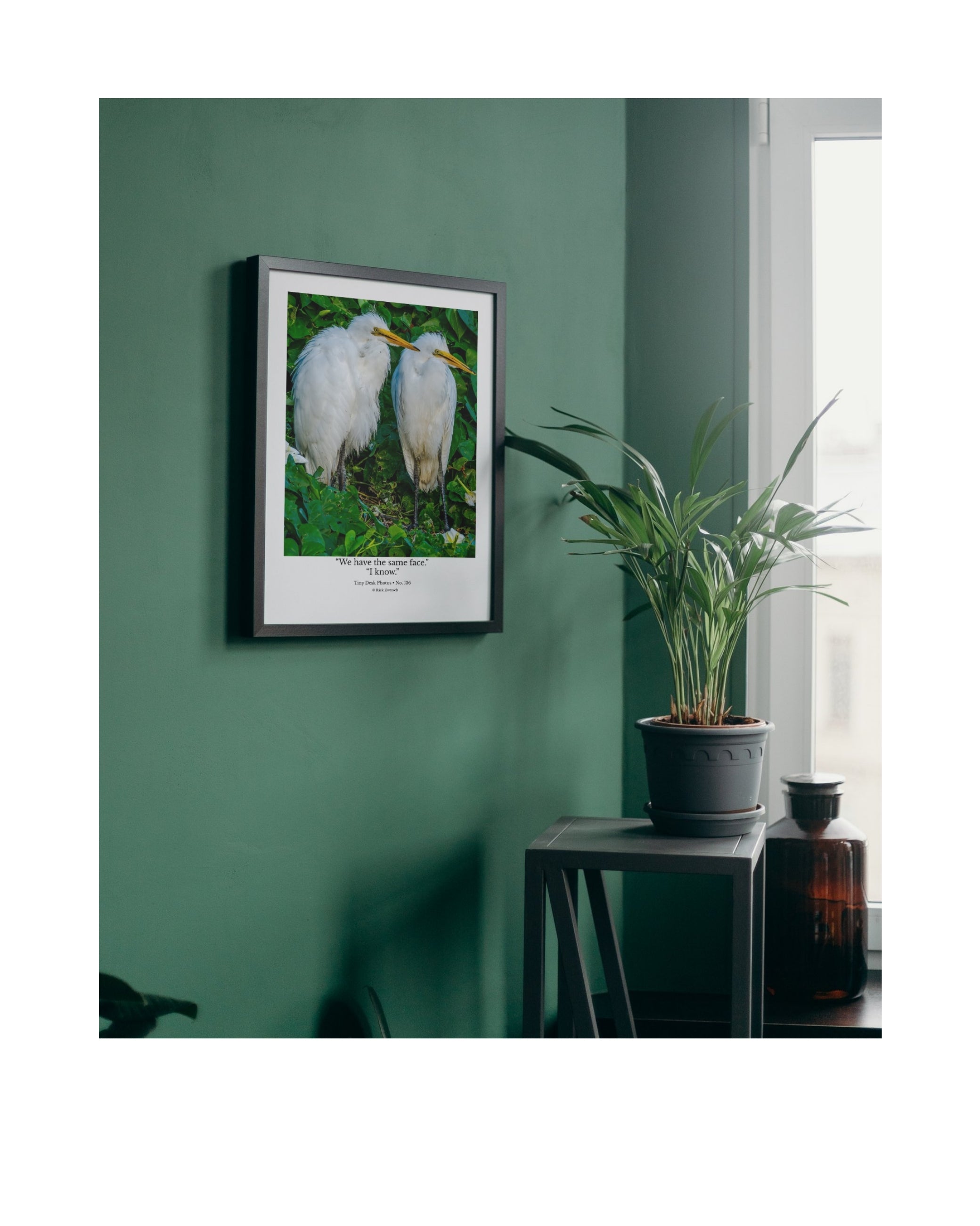 Great Egret Wildlife Photography Print | Tiny Desk Photos No. 136