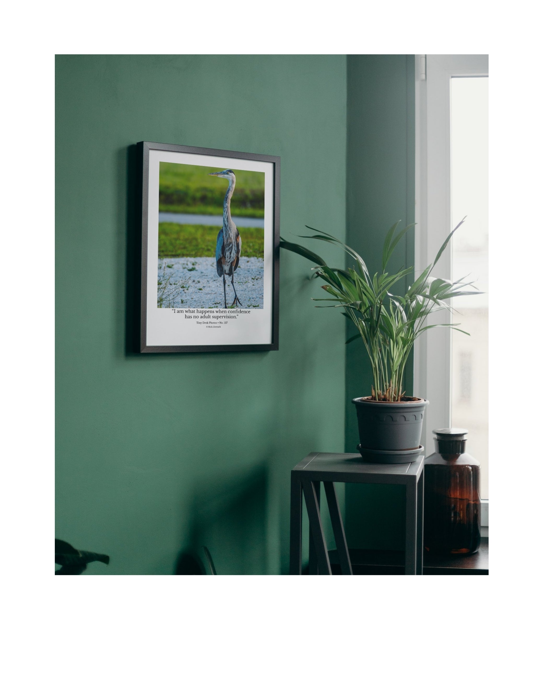 Great Blue Heron Wildlife Photography Print | Tiny Desk Photos No. 137