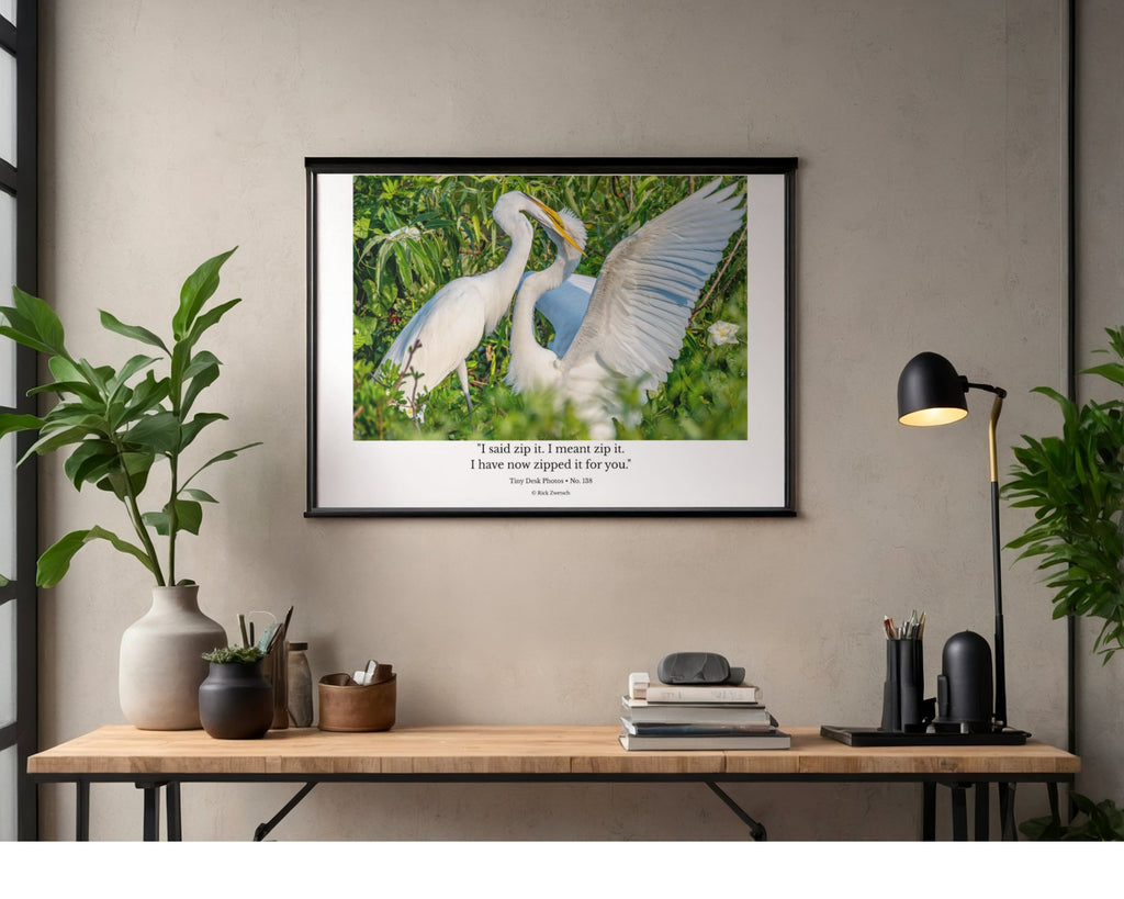 Great Egret Wildlife Photography Print | Tiny Desk Photos No. 138
