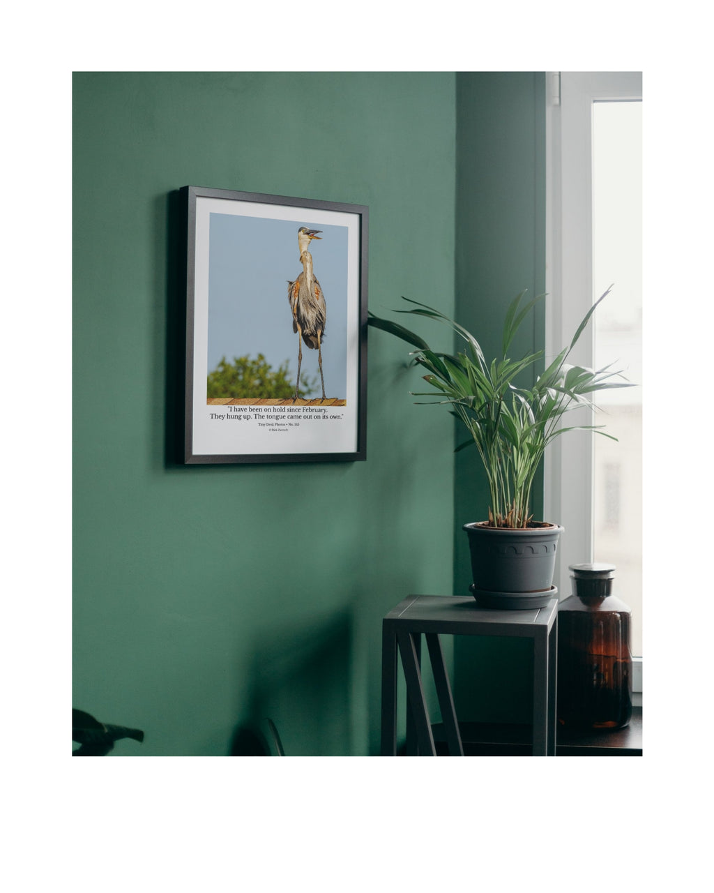 Great Blue Heron Wildlife Photography Print | Tiny Desk Photos No. 145