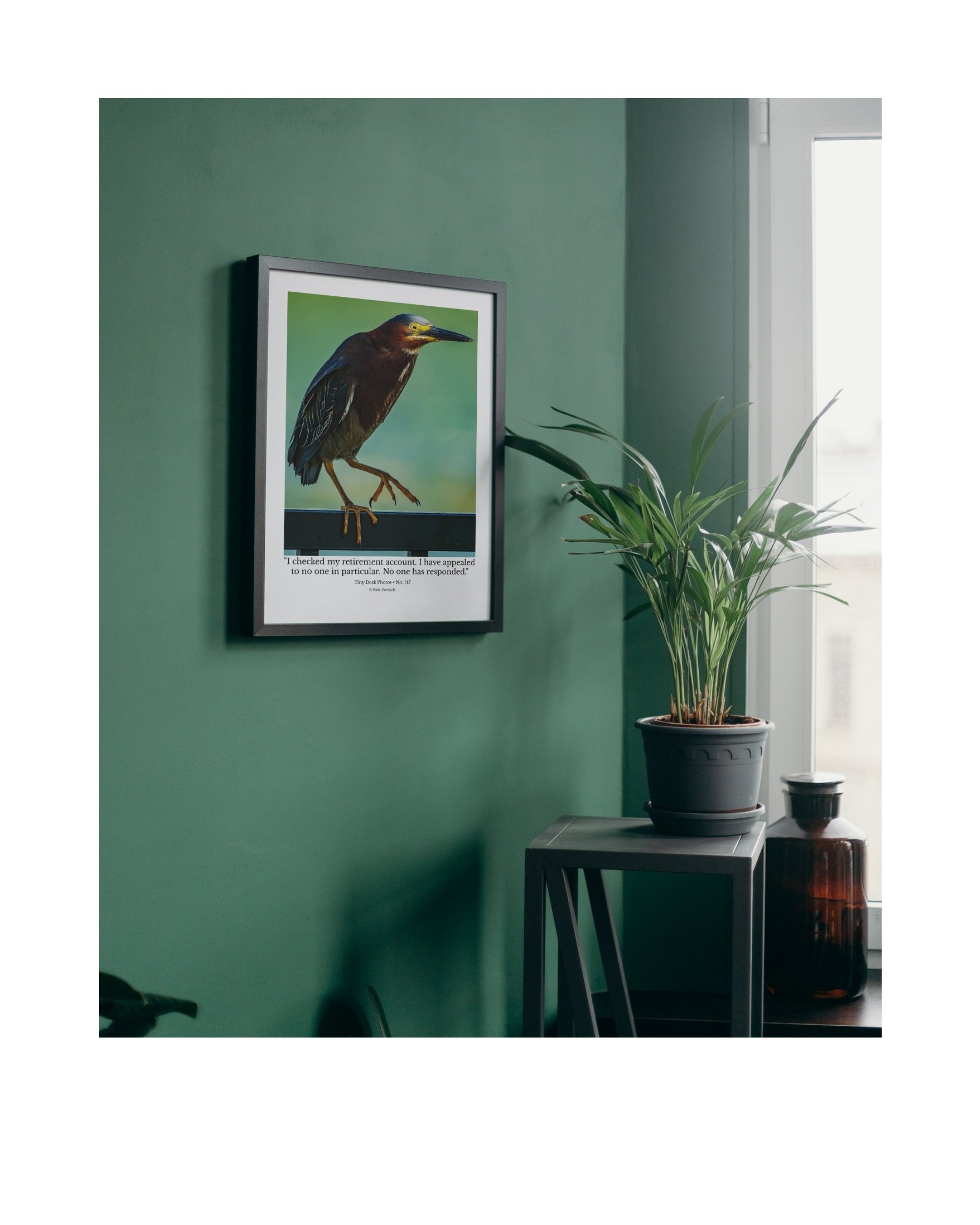 Green Heron Wildlife Photography Print | Tiny Desk Photos No. 147