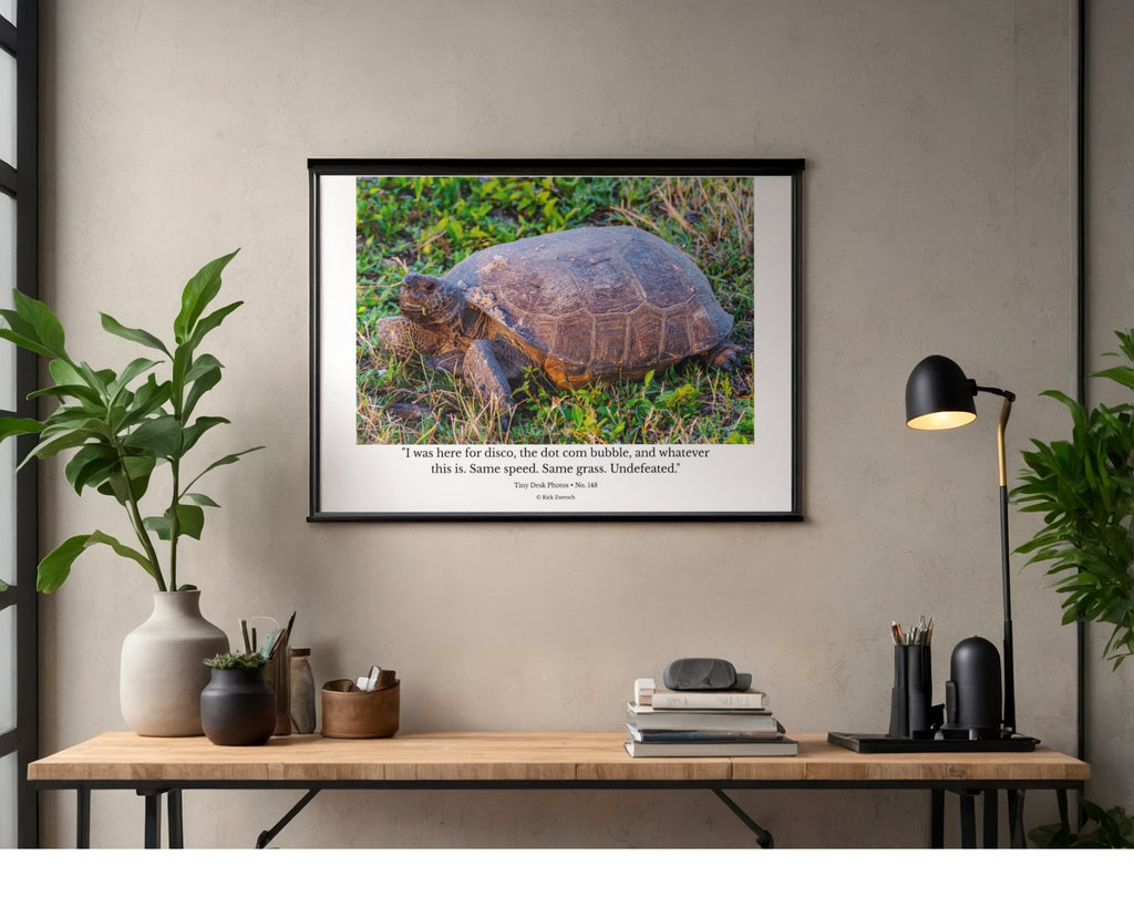Gopher Tortoise Wildlife Photography Print | Tiny Desk Photos No. 148